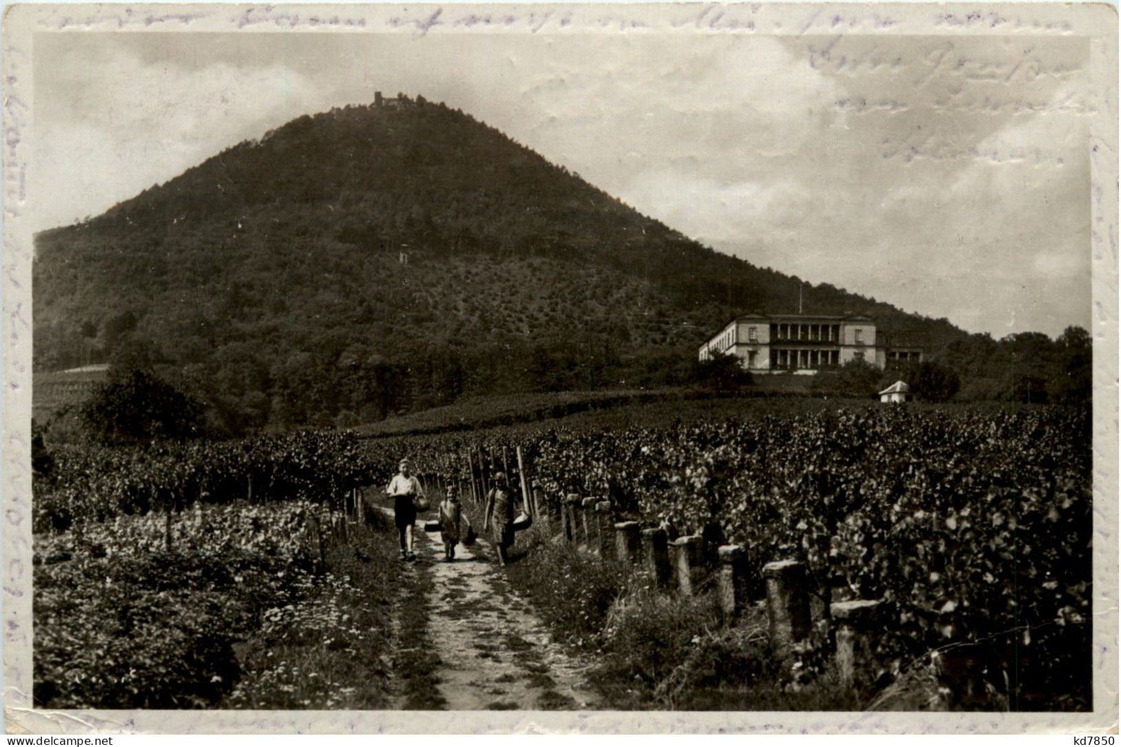 Rietburg Und Villa Ludwigshöhe Bei Rhodt - Sonstige & Ohne Zuordnung