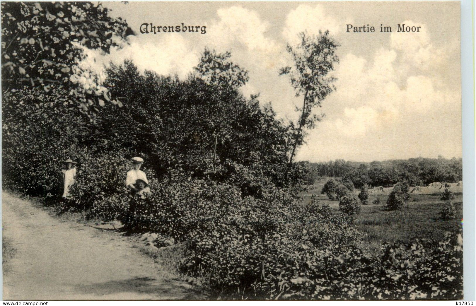 Ahrensburg - Partie Im Moor - Ahrensburg