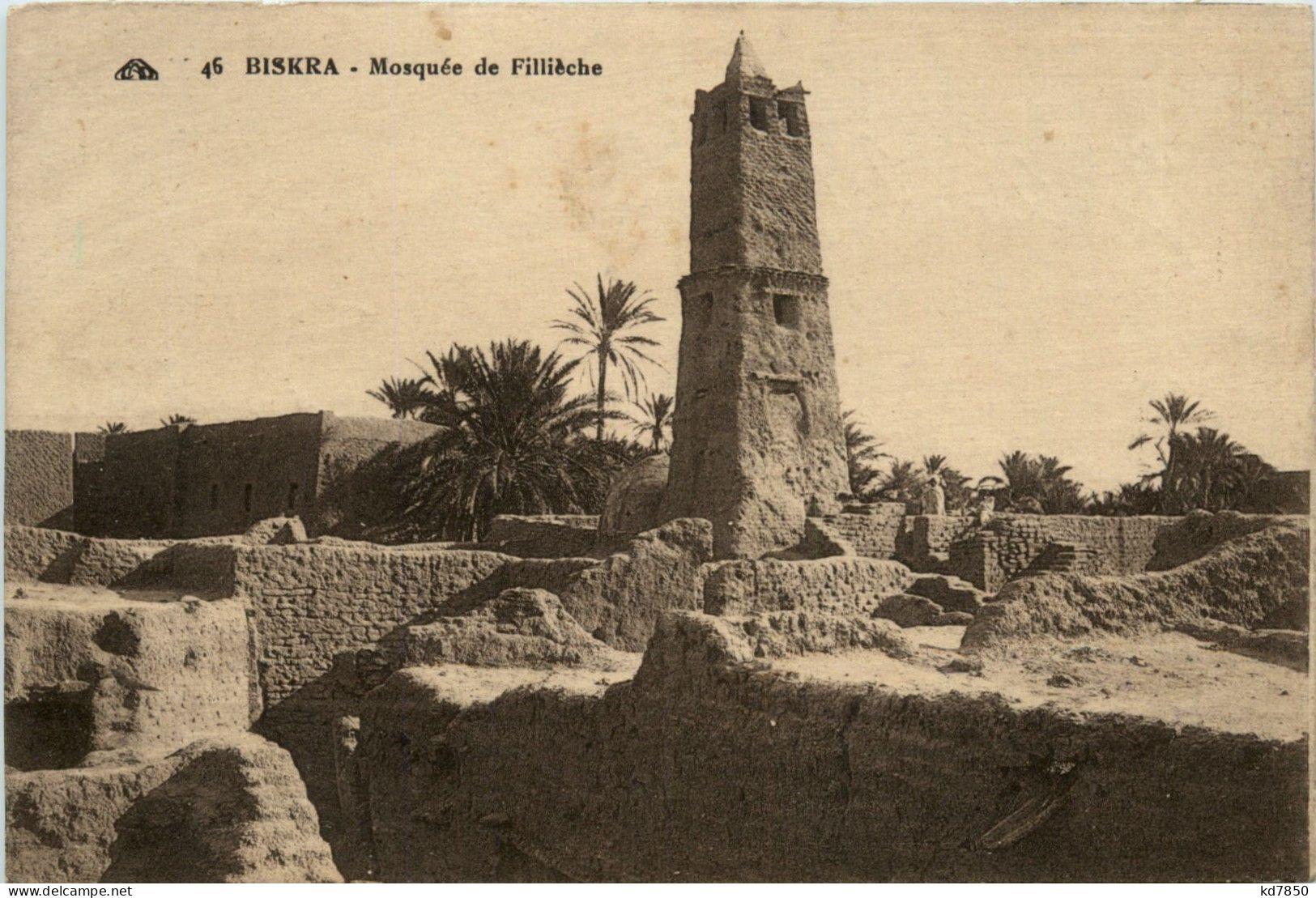 Biskra - Mosquee De Fillieche - Biskra