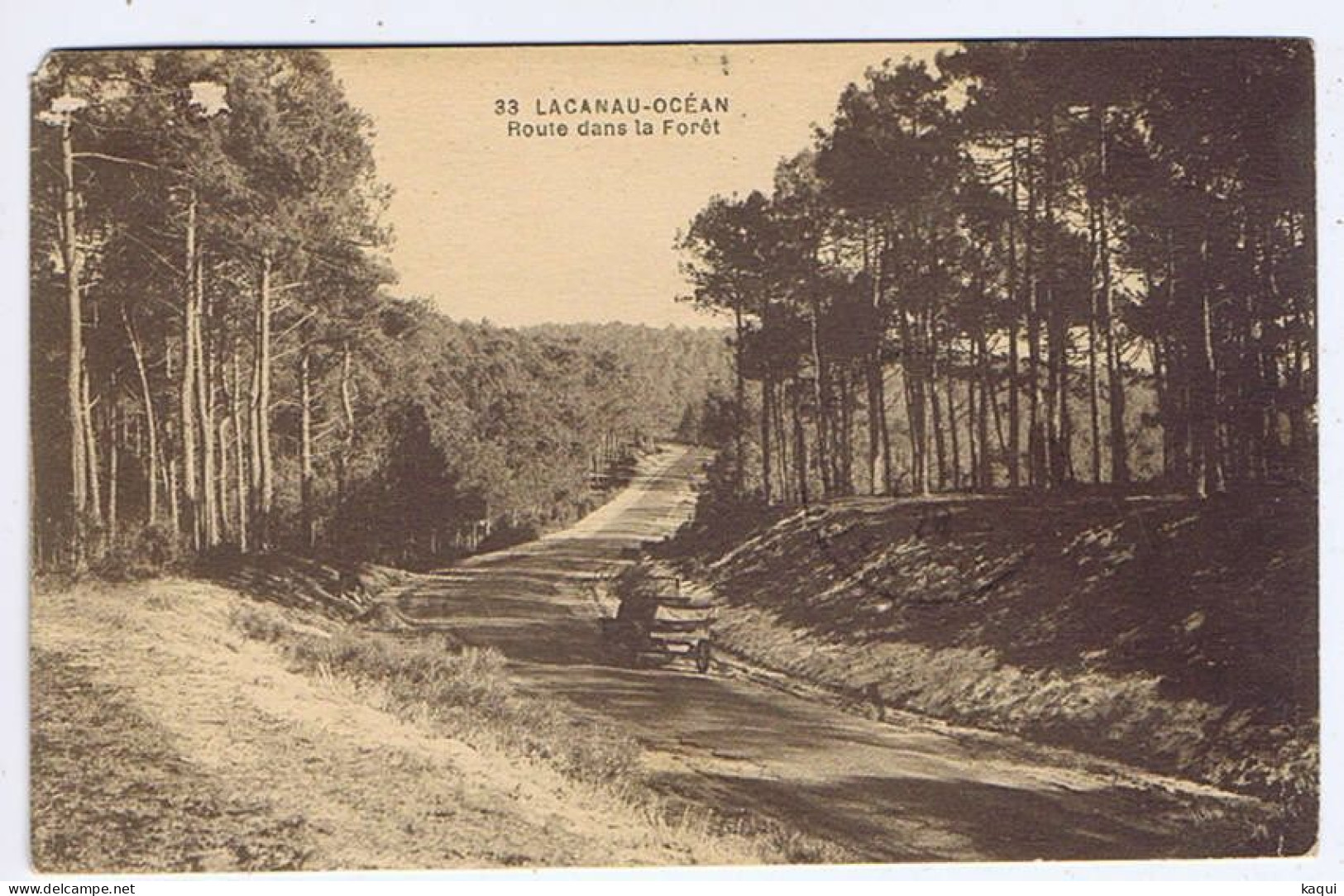 GIRONDE - LACANAU-OCEAN - Route Dans La Forêt - Ed. Moutic, Photo - Other & Unclassified