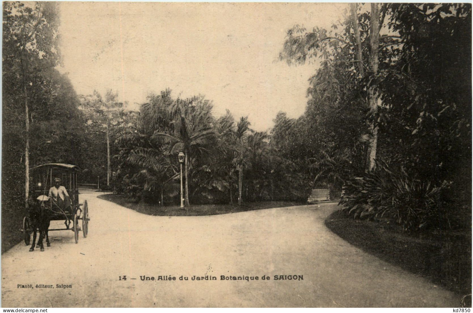 Saigon - Une Allee Du Jardin Botanique - Vietnam