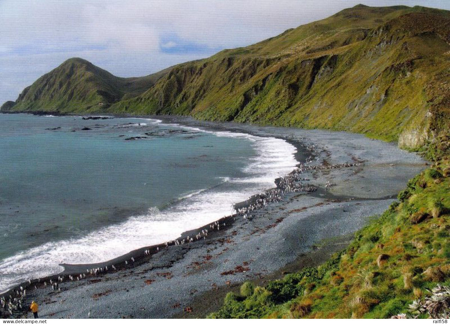 1 AK Macquarie Island * Landschaft Dieser Subantarktischen Insel * Seit 1997 UNESCO Weltnaturerbe - Zu Australien * - Autres & Non Classés