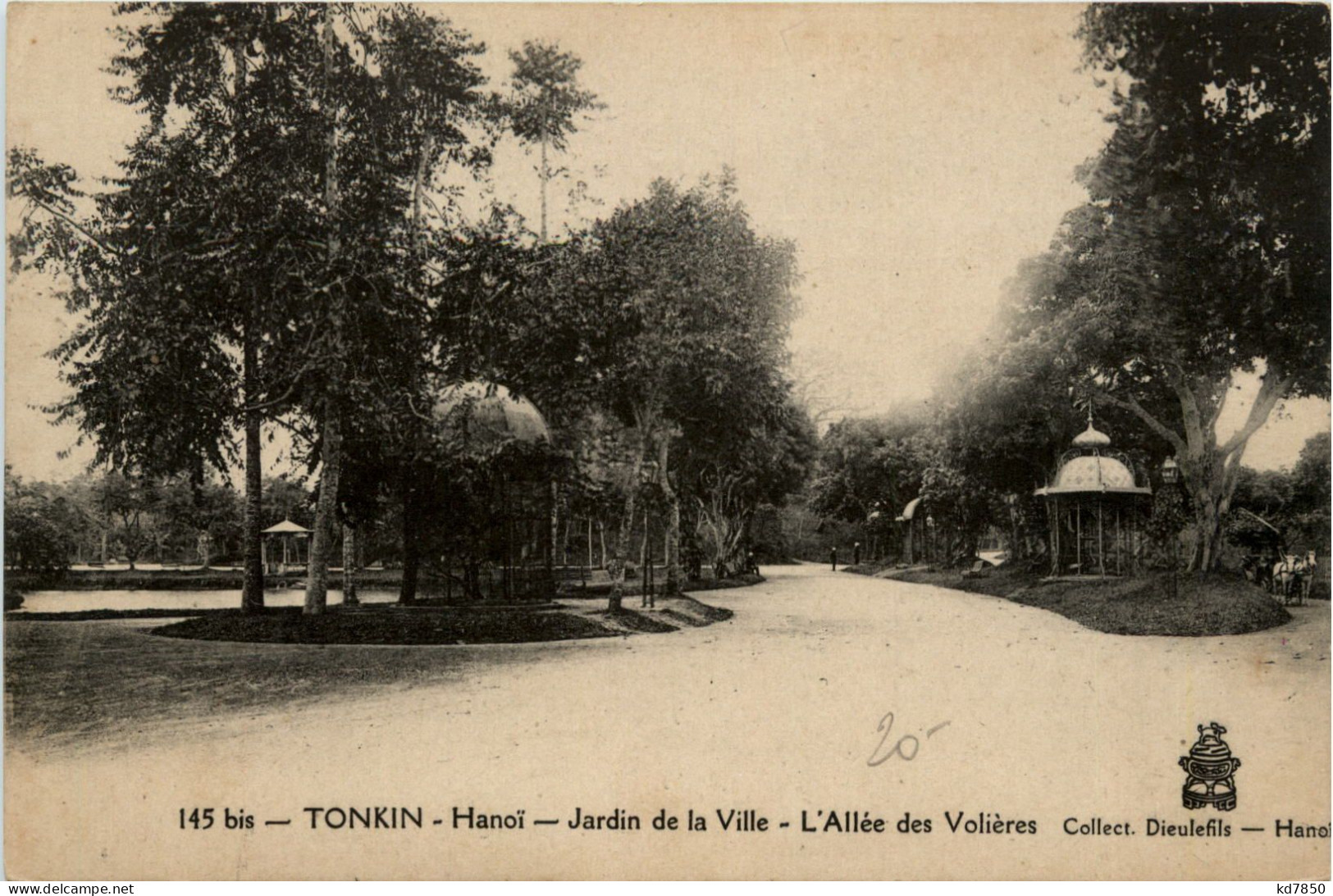 Tonkin - Hanoi - Jardin De La Ville - Vietnam