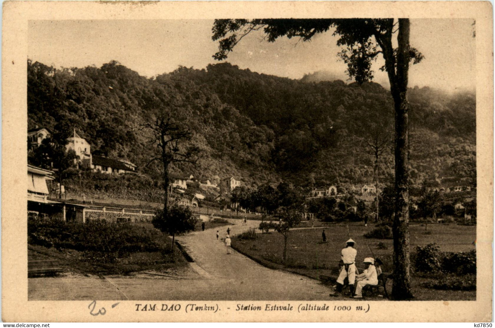 Tonkin - Tam Dao - Vietnam