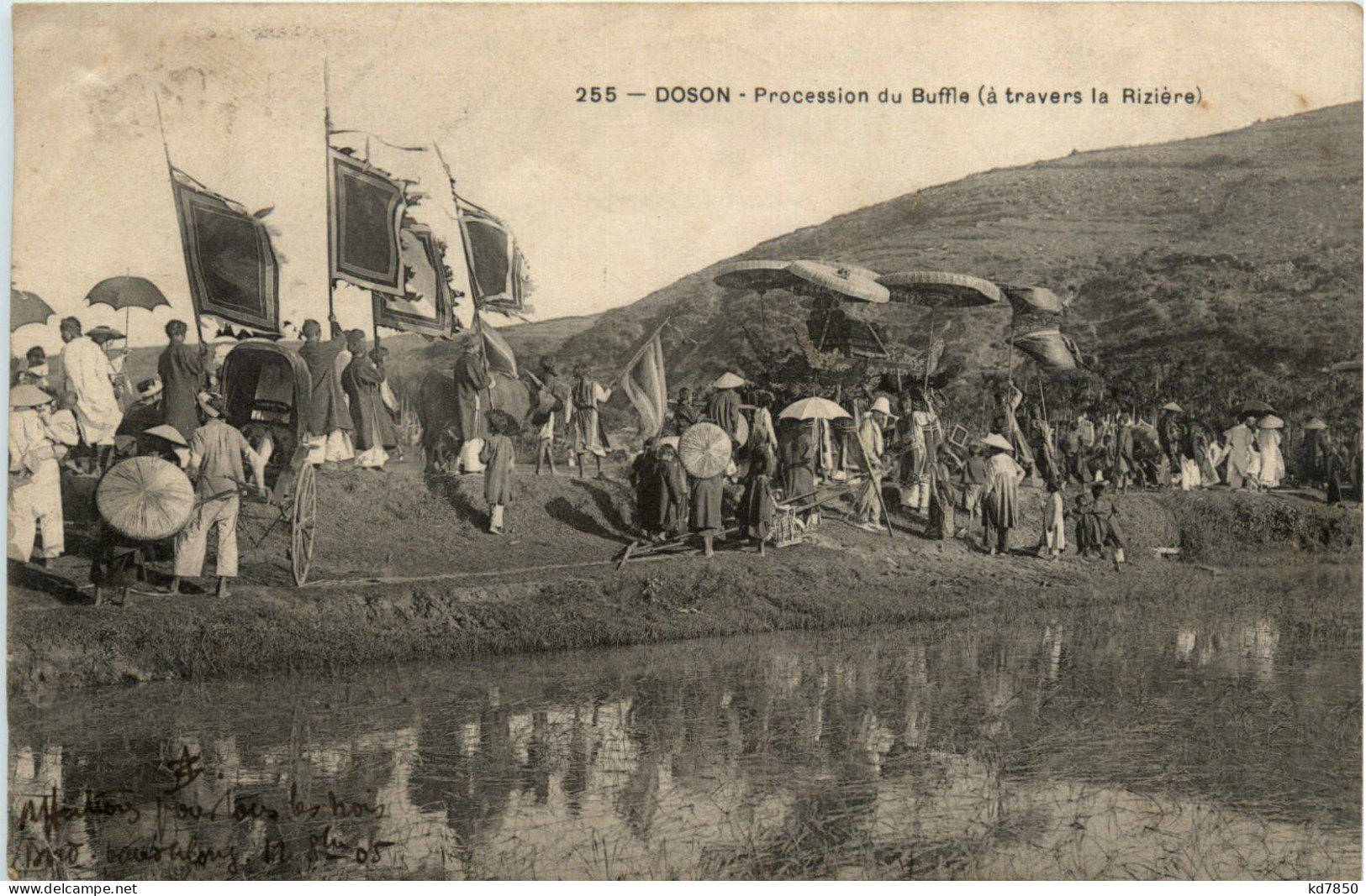 Doson - Procession Du Buffle - Viêt-Nam