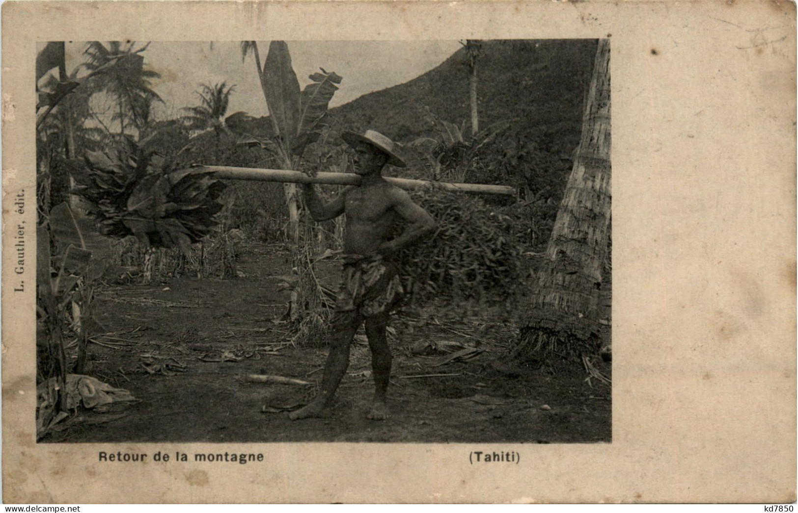 Tahiti - Retour De La Montagne - Tahiti