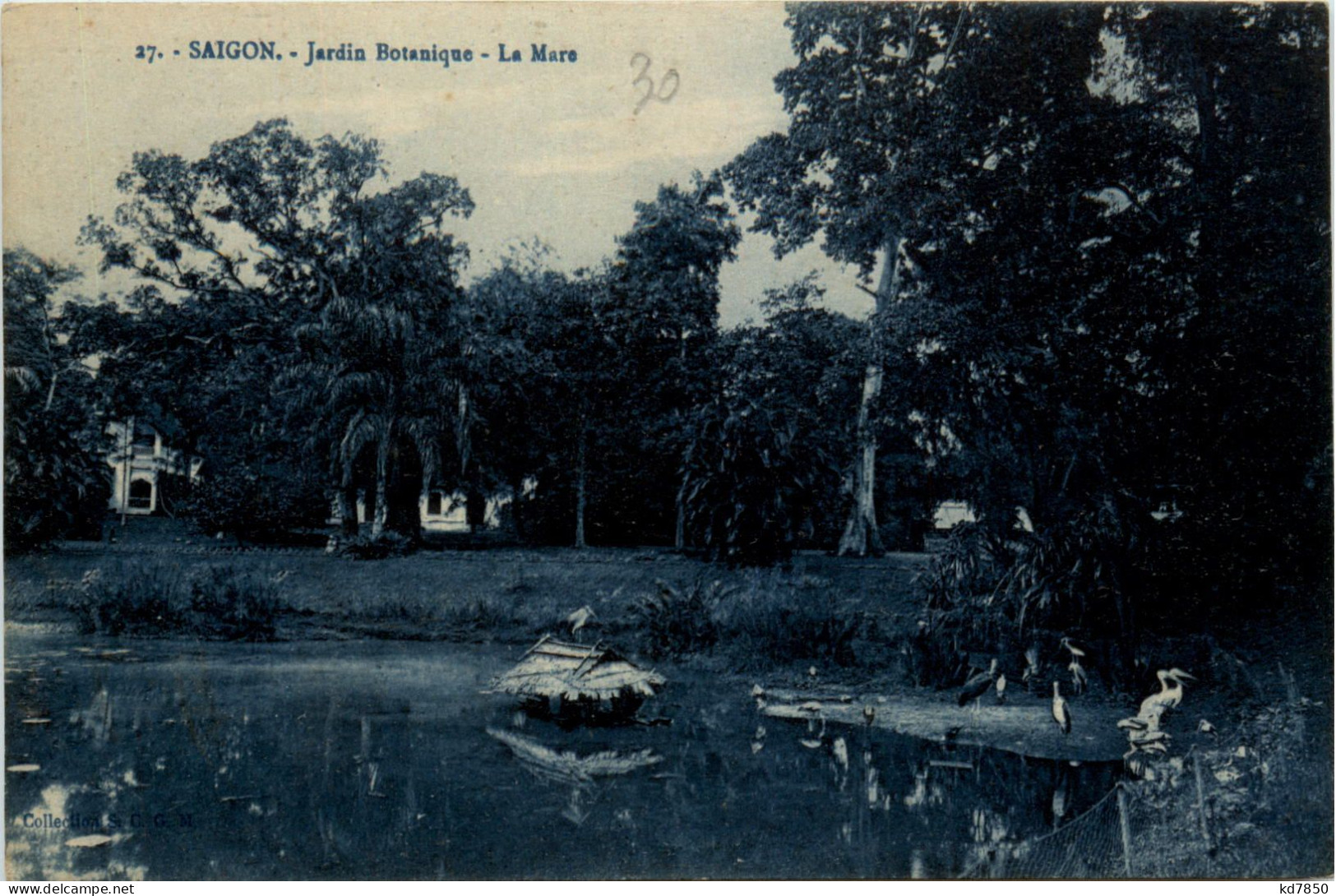 Saigon - Jardin Botanique - Vietnam