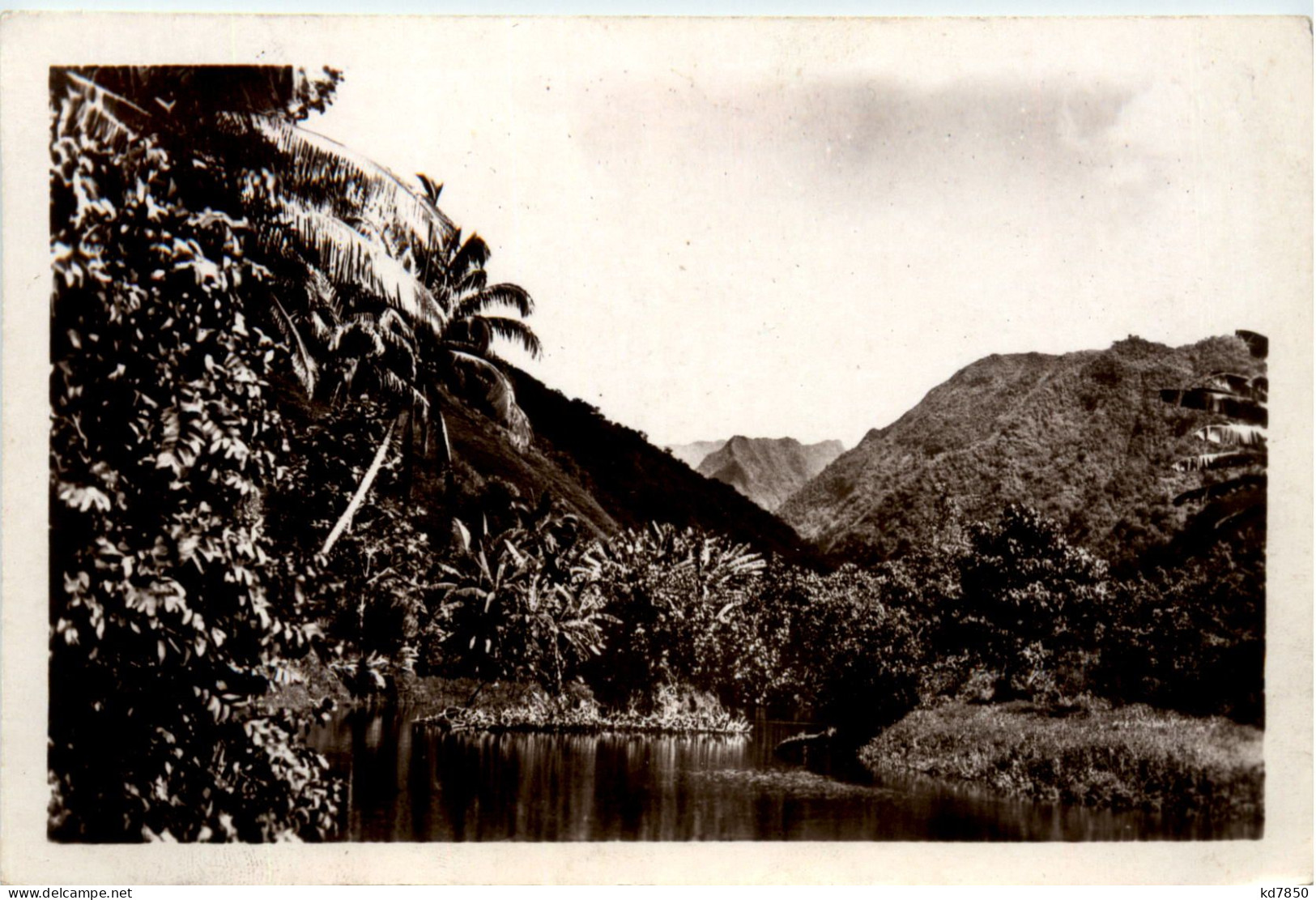 Tahiti - Valley Of Faaone - Tahiti