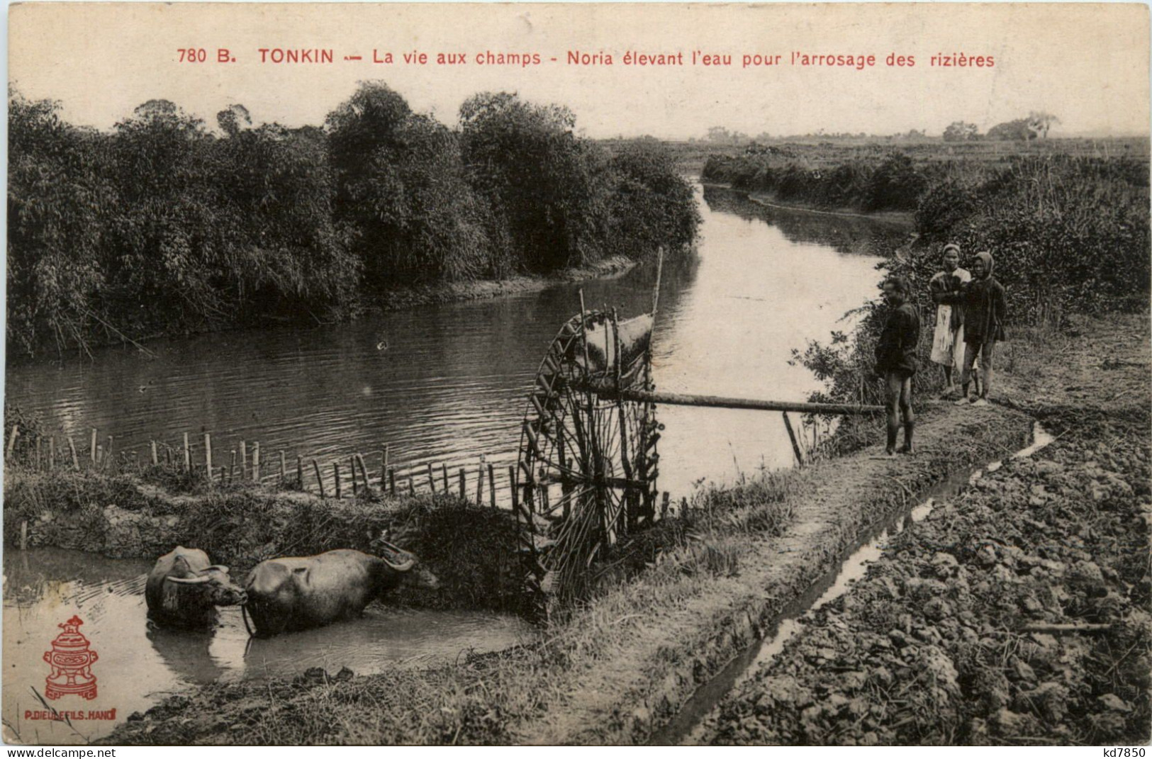 Tonkin - La Vie Aux Champs - Vietnam