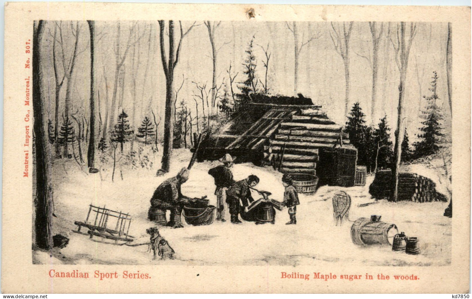 Boiling Maple Sugar In The Woods - Canada - Unclassified