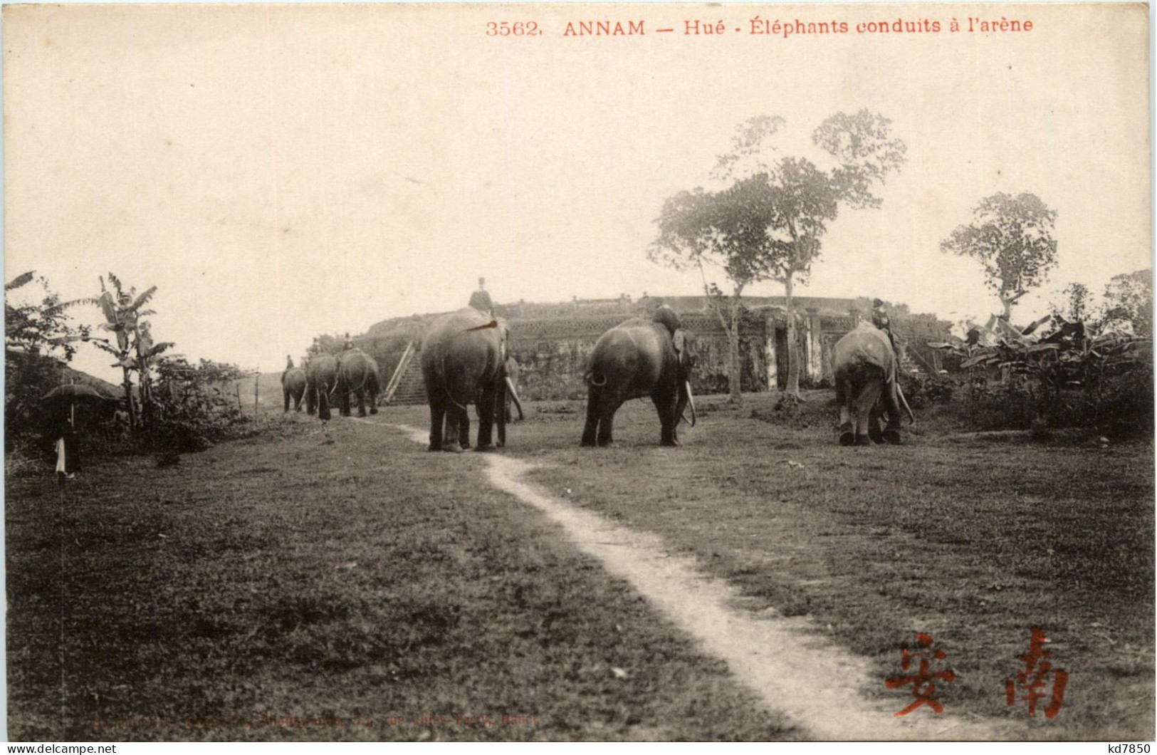 Annam - Hue - Elephants - Vietnam