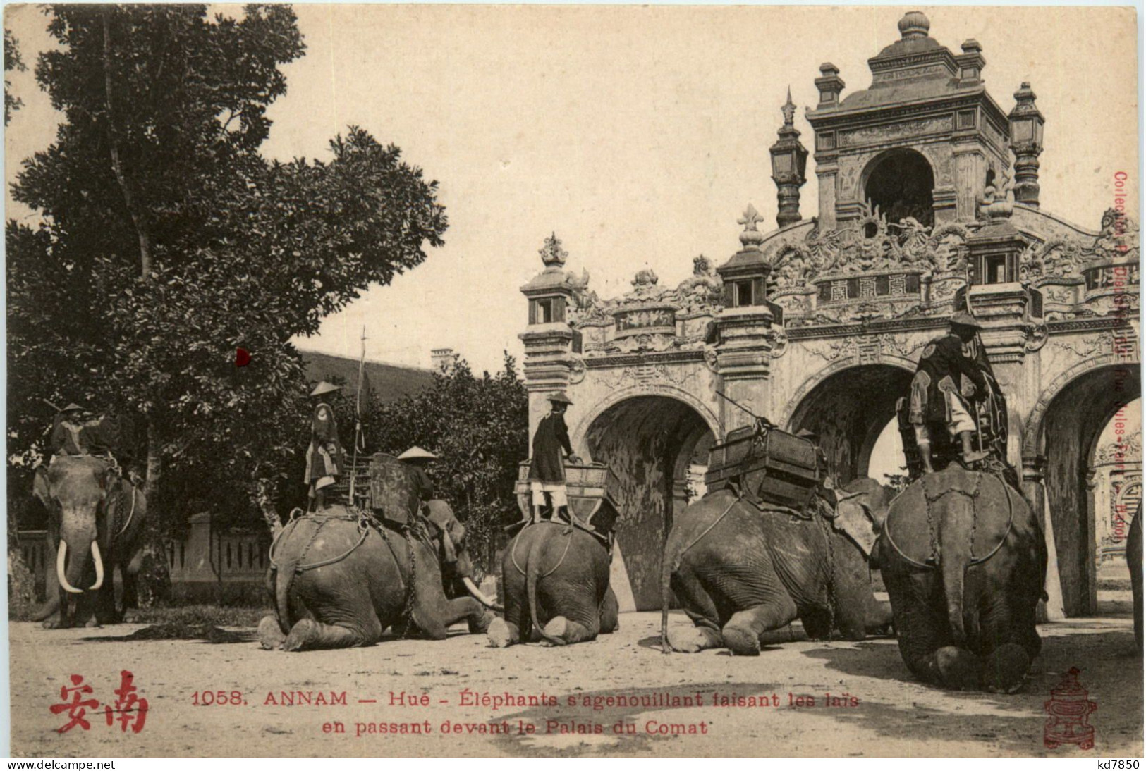 Annam - Hue - Elephants - Vietnam