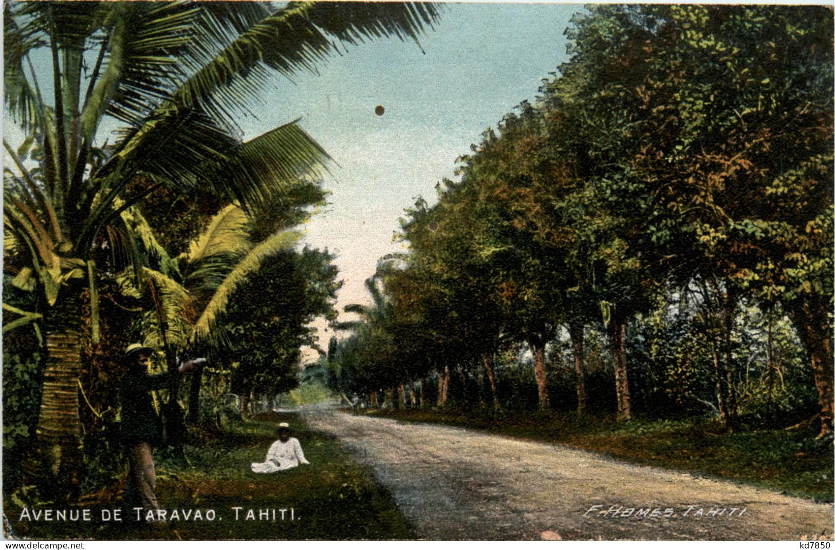 Tahiti - Avenue De Taravao - Tahiti