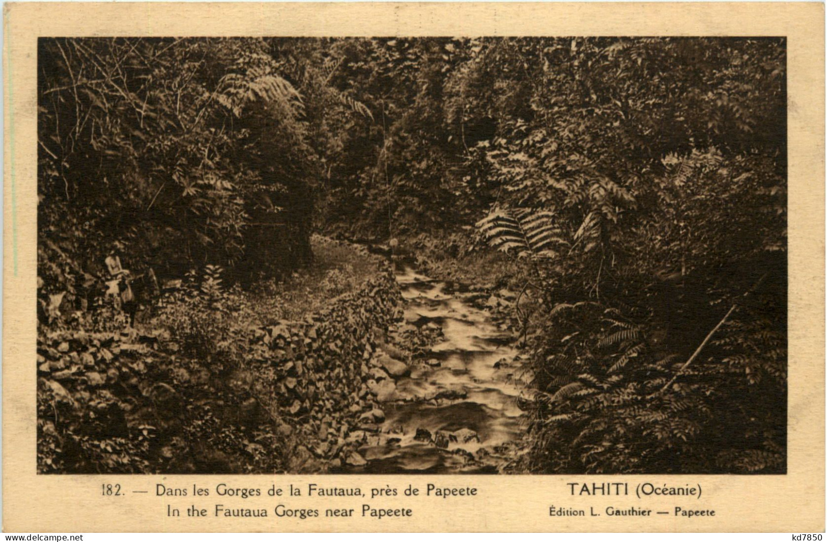 Tahiti - Gorges De La Fautaua - Tahiti