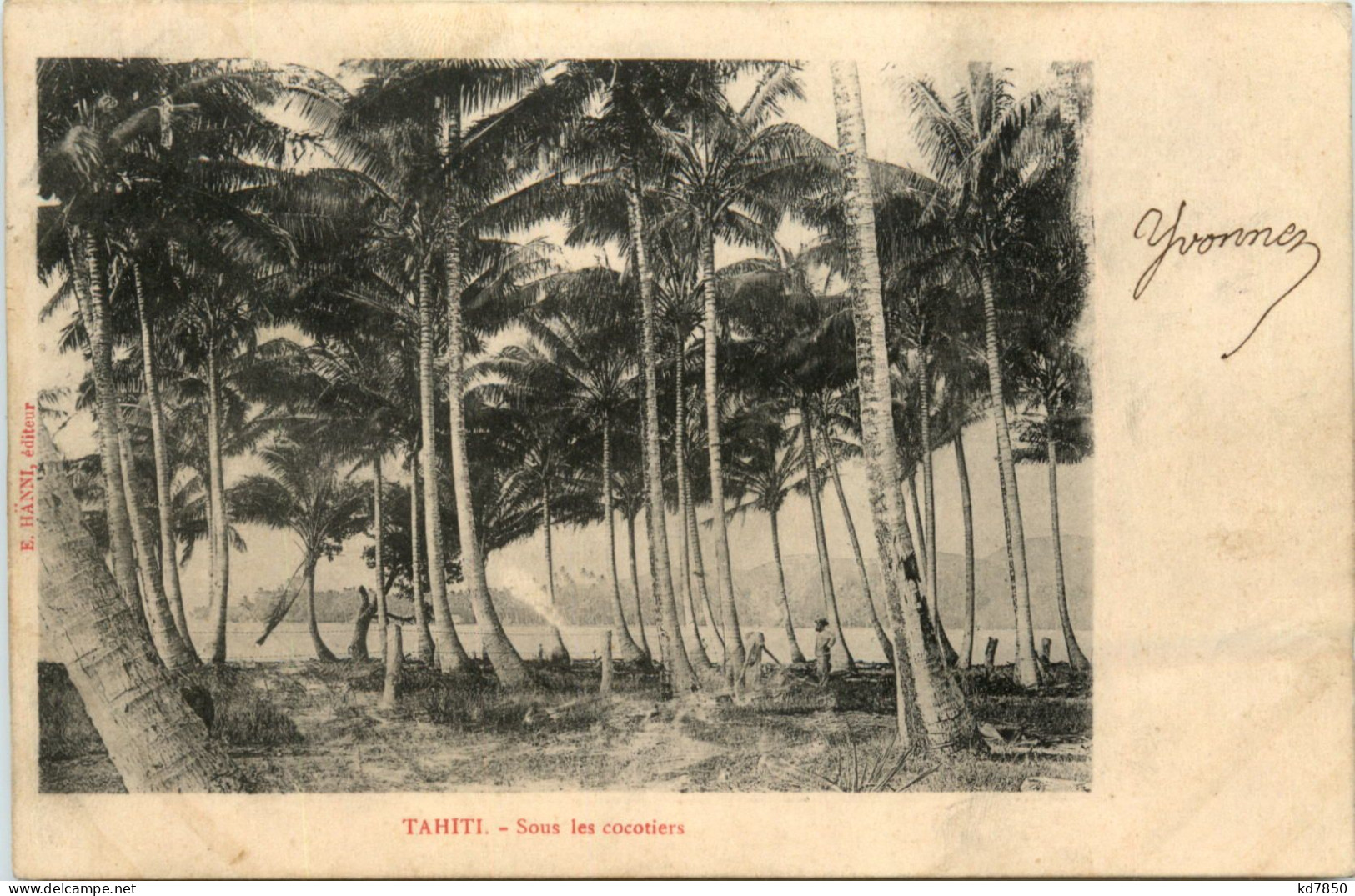 Tahiti - Sous Les Cocotiers - Tahiti