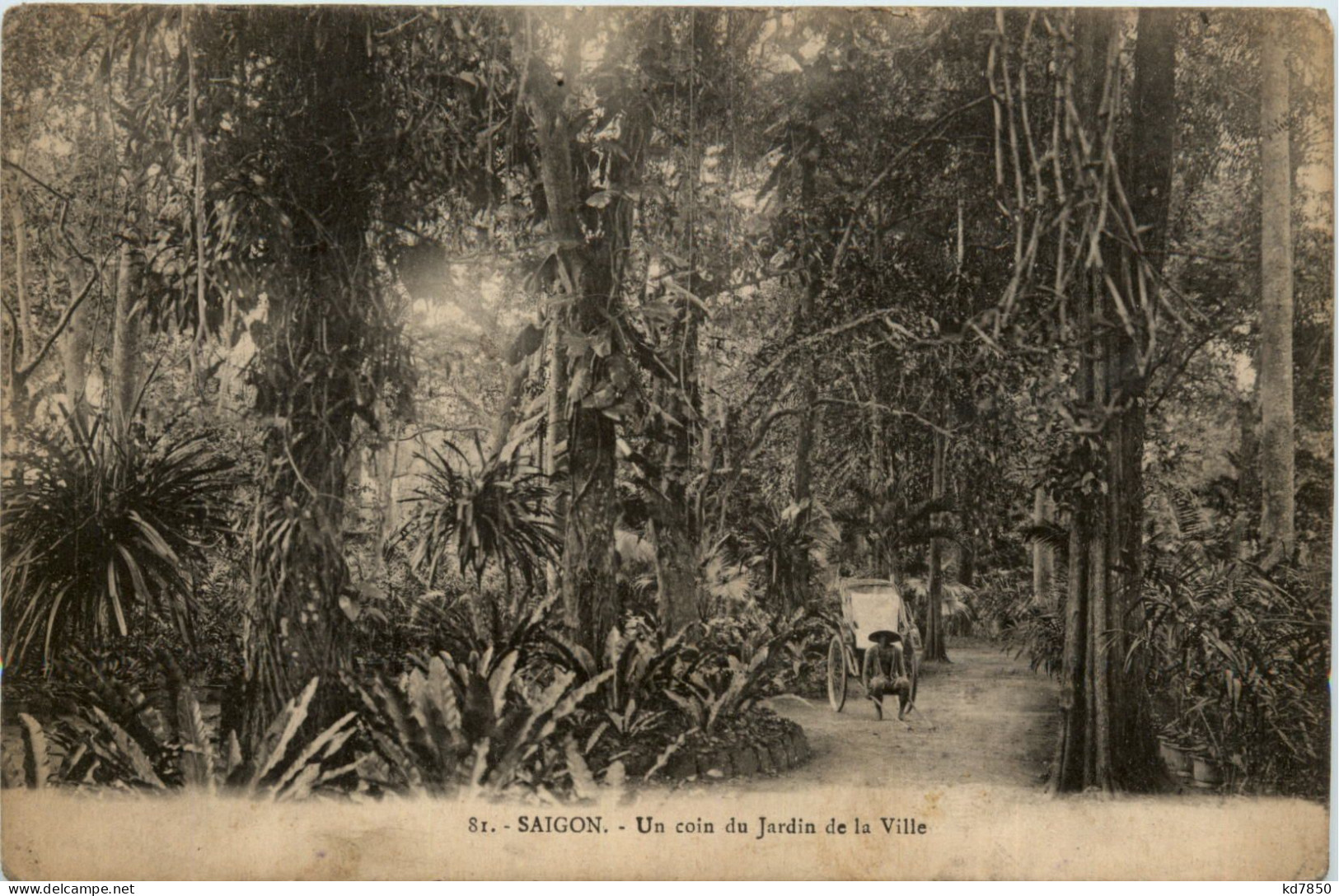 Saigon - Un Coin Du Jardin De La Ville - Viêt-Nam