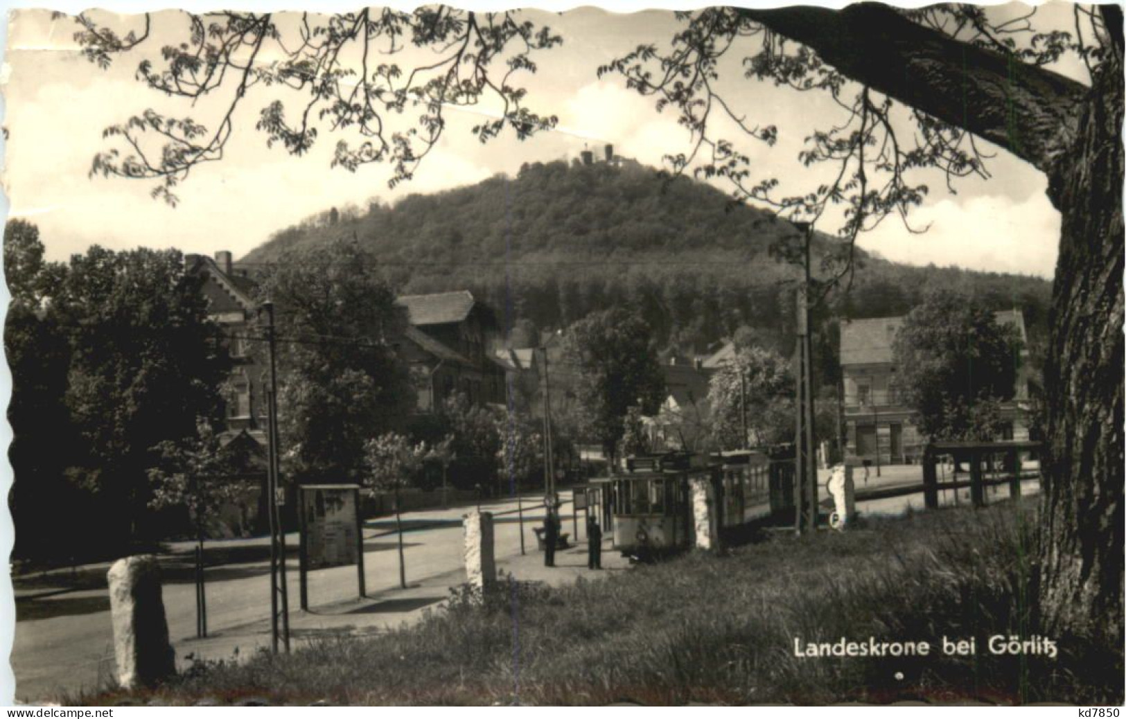 Görlitz - Landeskrone - Görlitz