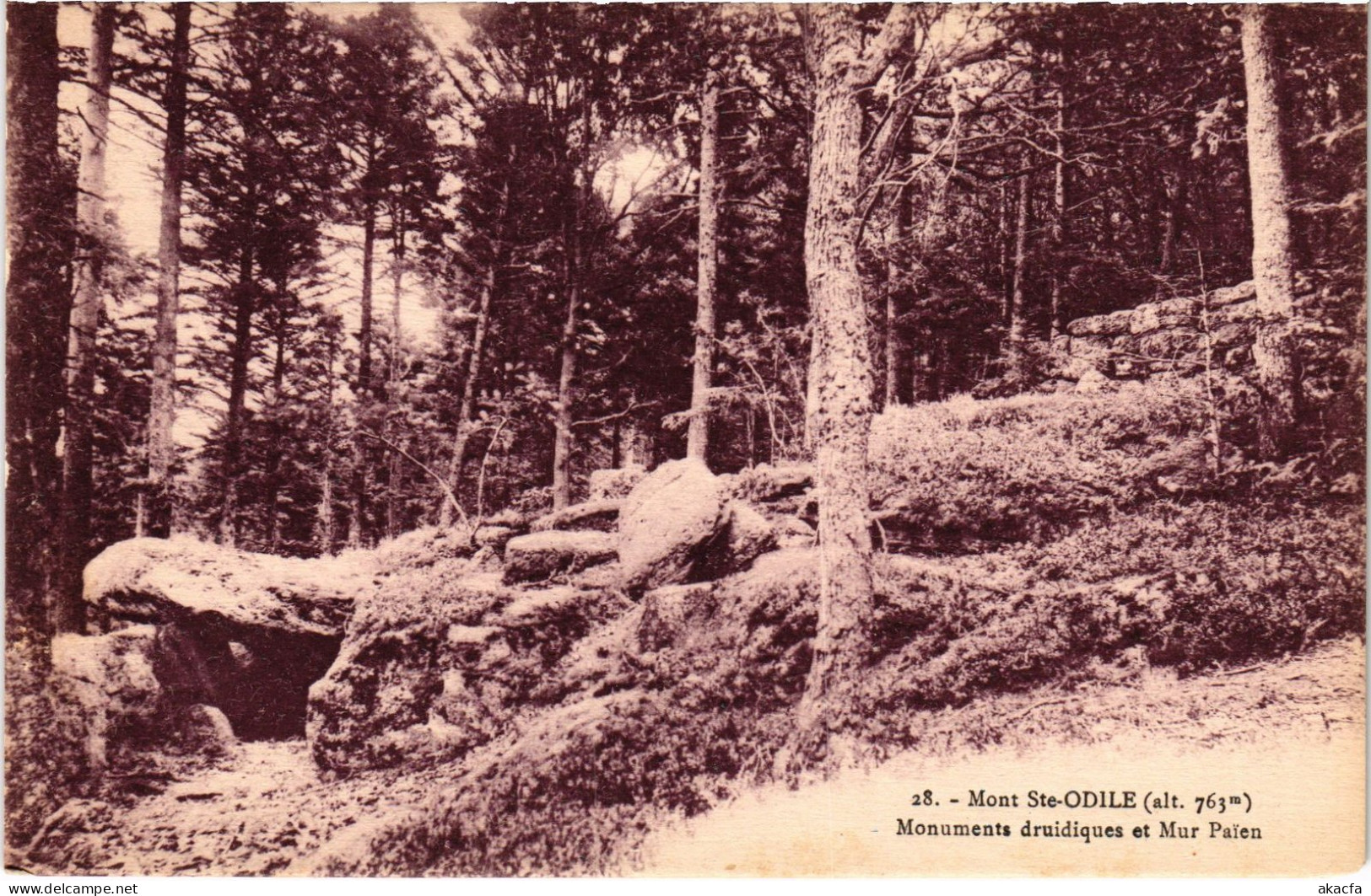 CPA Mont Ste-Odile Mur Paien (1390305) - Sainte Odile