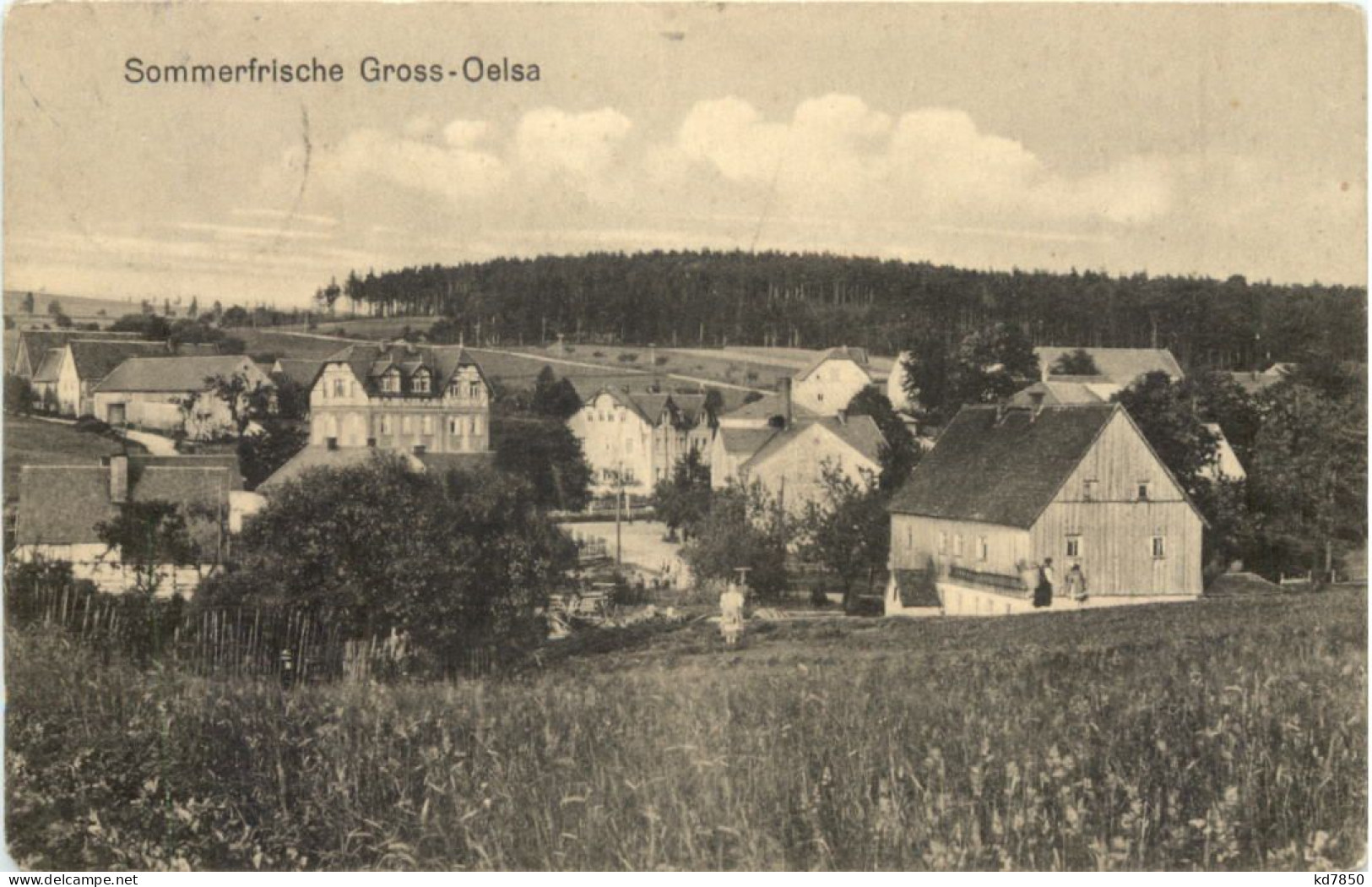 Gross-Oelsa Rabenau - Other & Unclassified