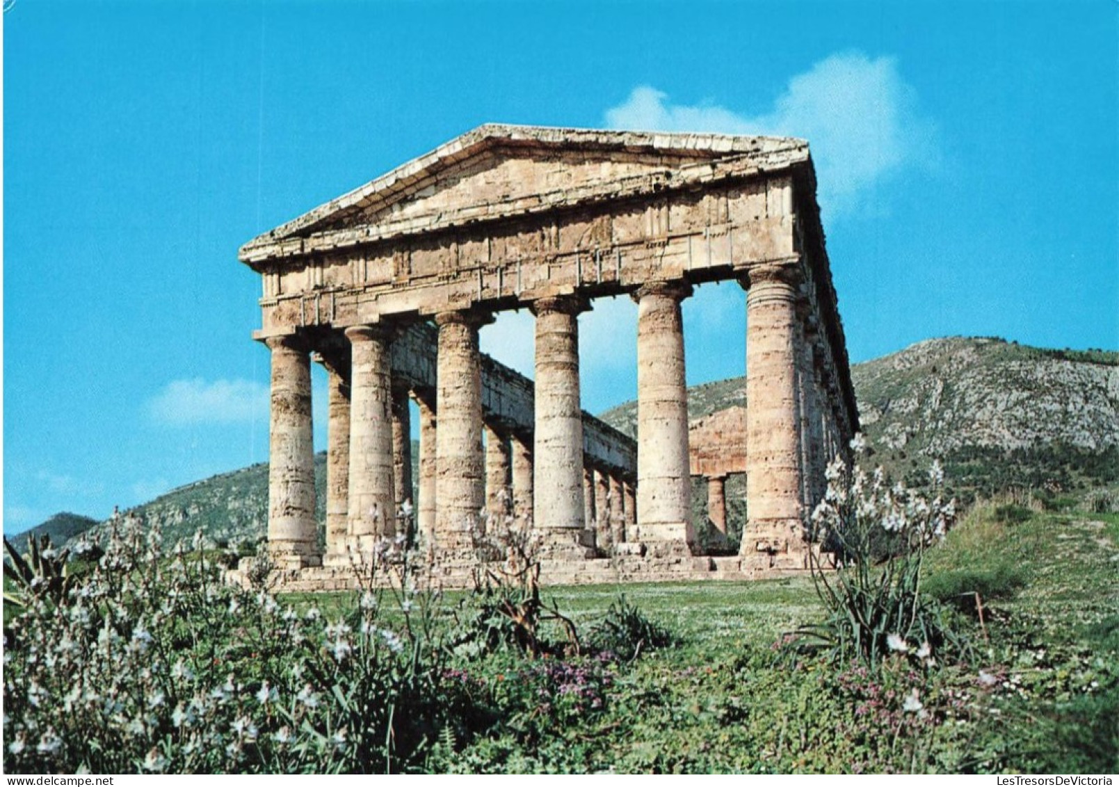 ITALIE - Segesta - Le Temple - Carte Postale - Siracusa