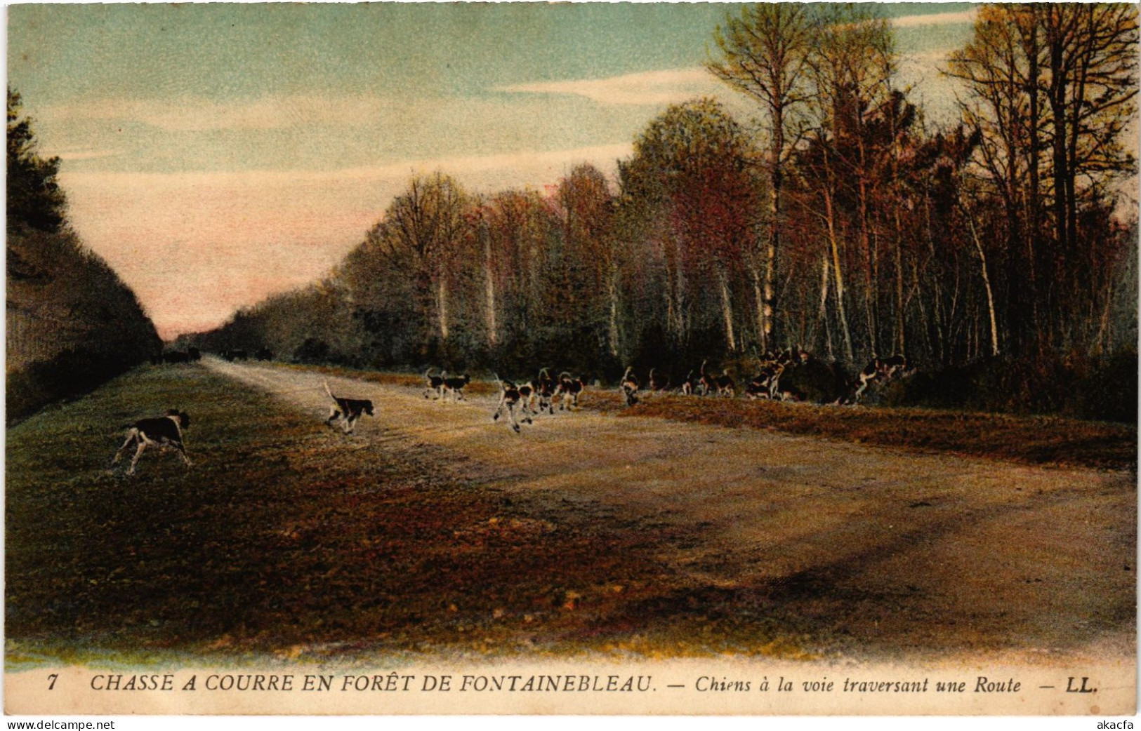 CPA Foret De Fontainebleau Chasse A Courre Chiens Hunting (1390933) - Fontainebleau