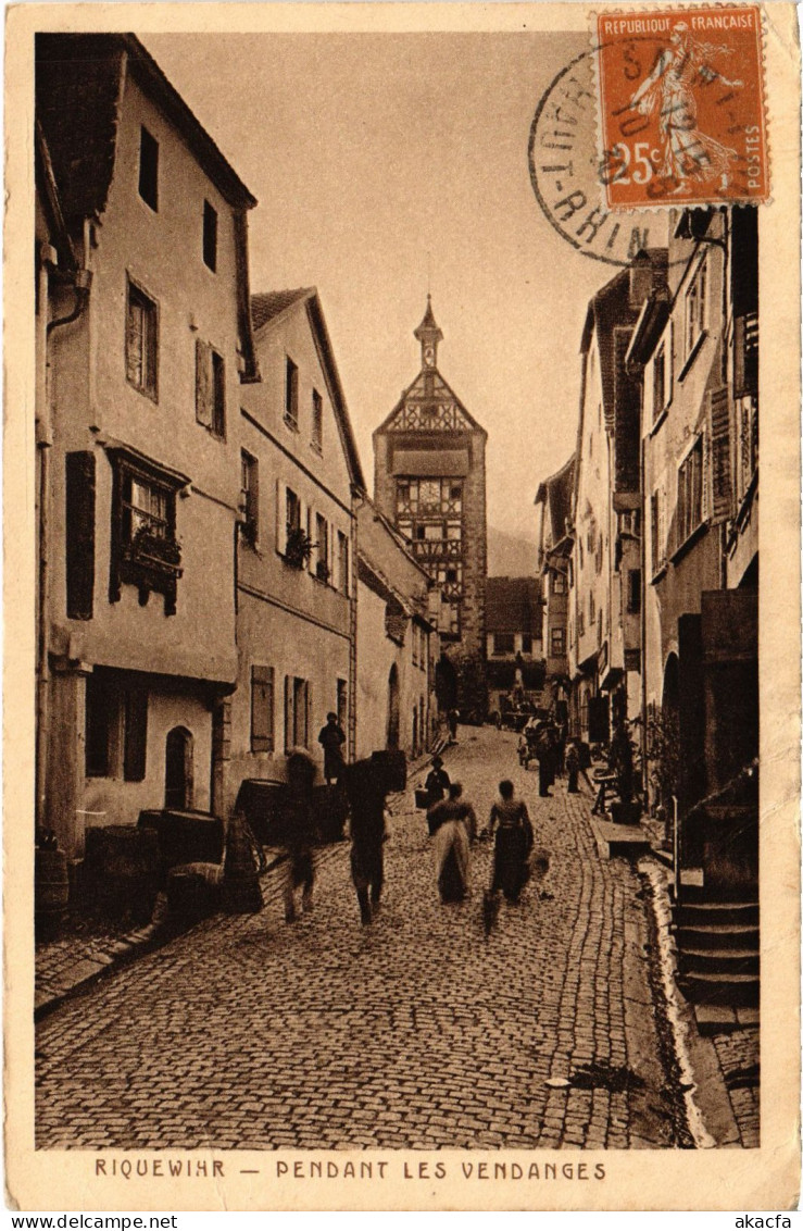 CPA Riquewihr Pendant Les Vendanges (1390503) - Riquewihr