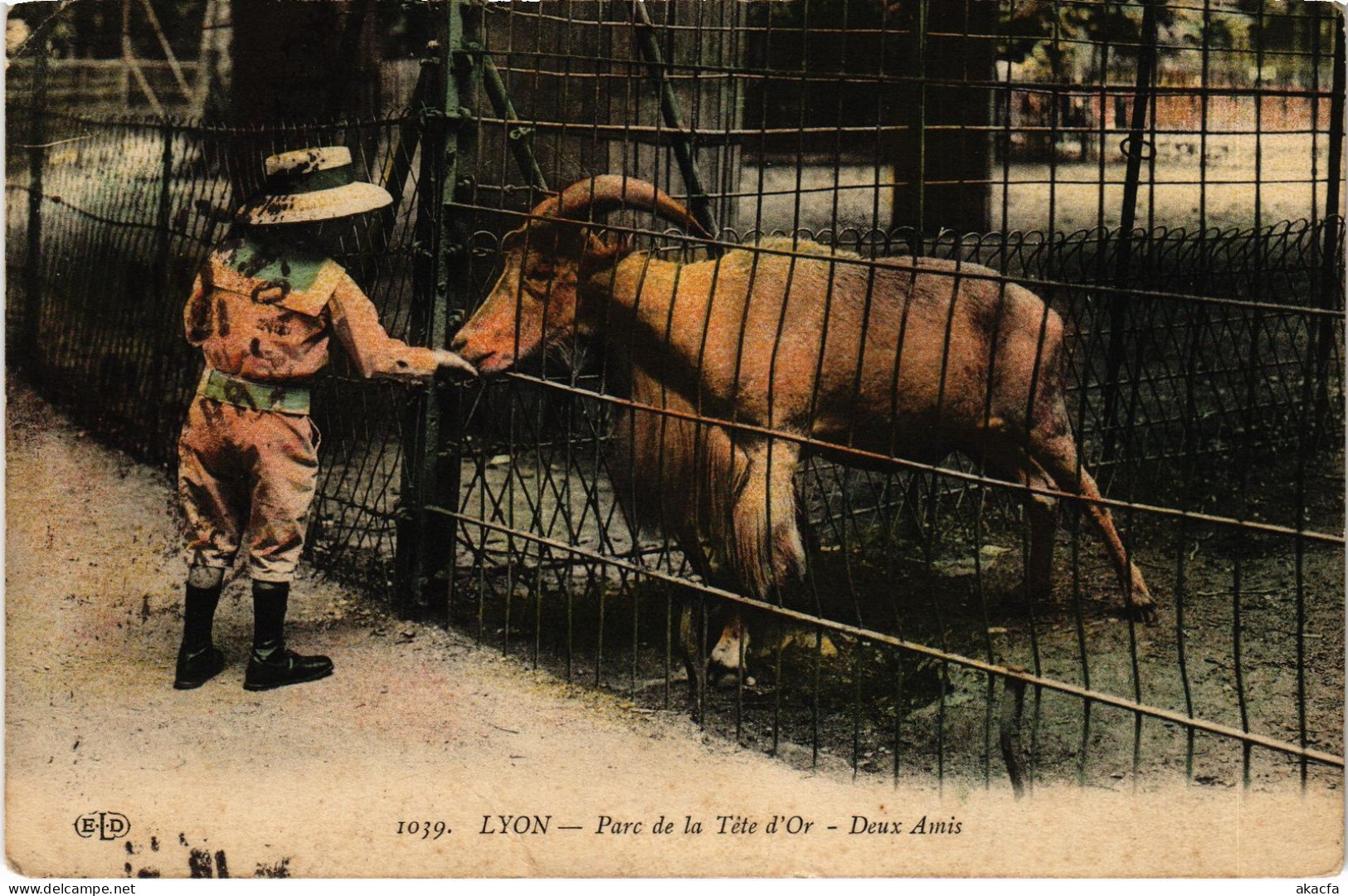 CPA Lyon Parc De La Tete-d'Or Zoo (1390553) - Altri & Non Classificati
