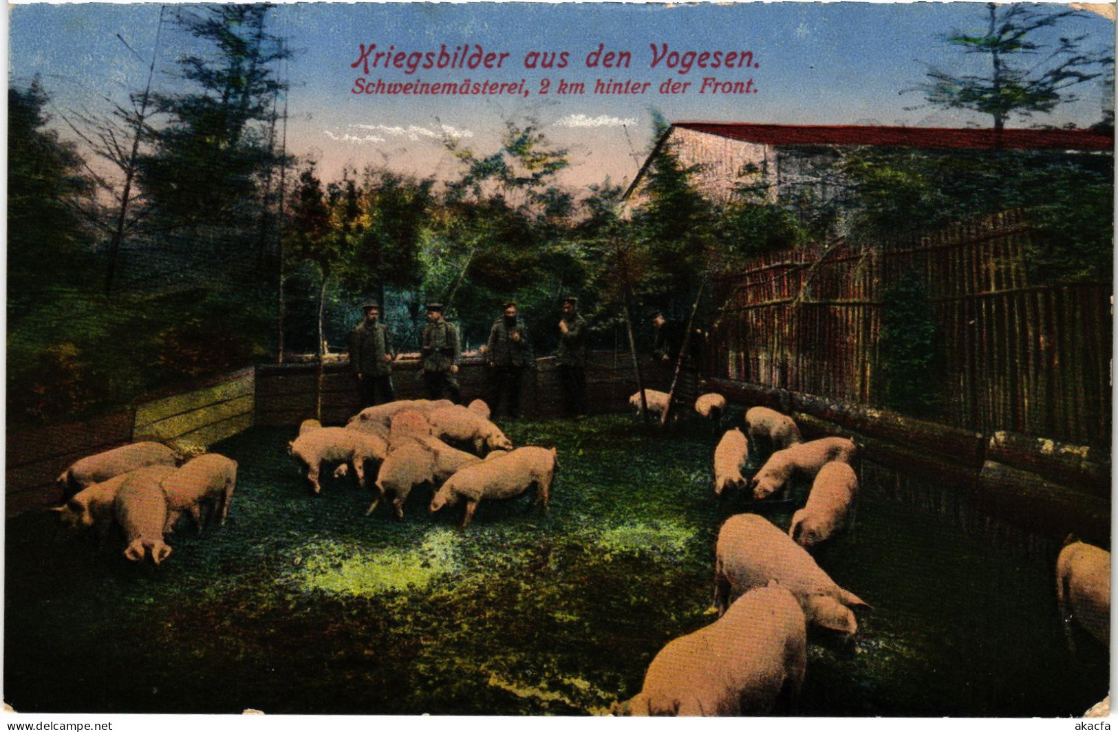 CPA Pig Farm Vogesen Guerre (1390329) - Andere & Zonder Classificatie