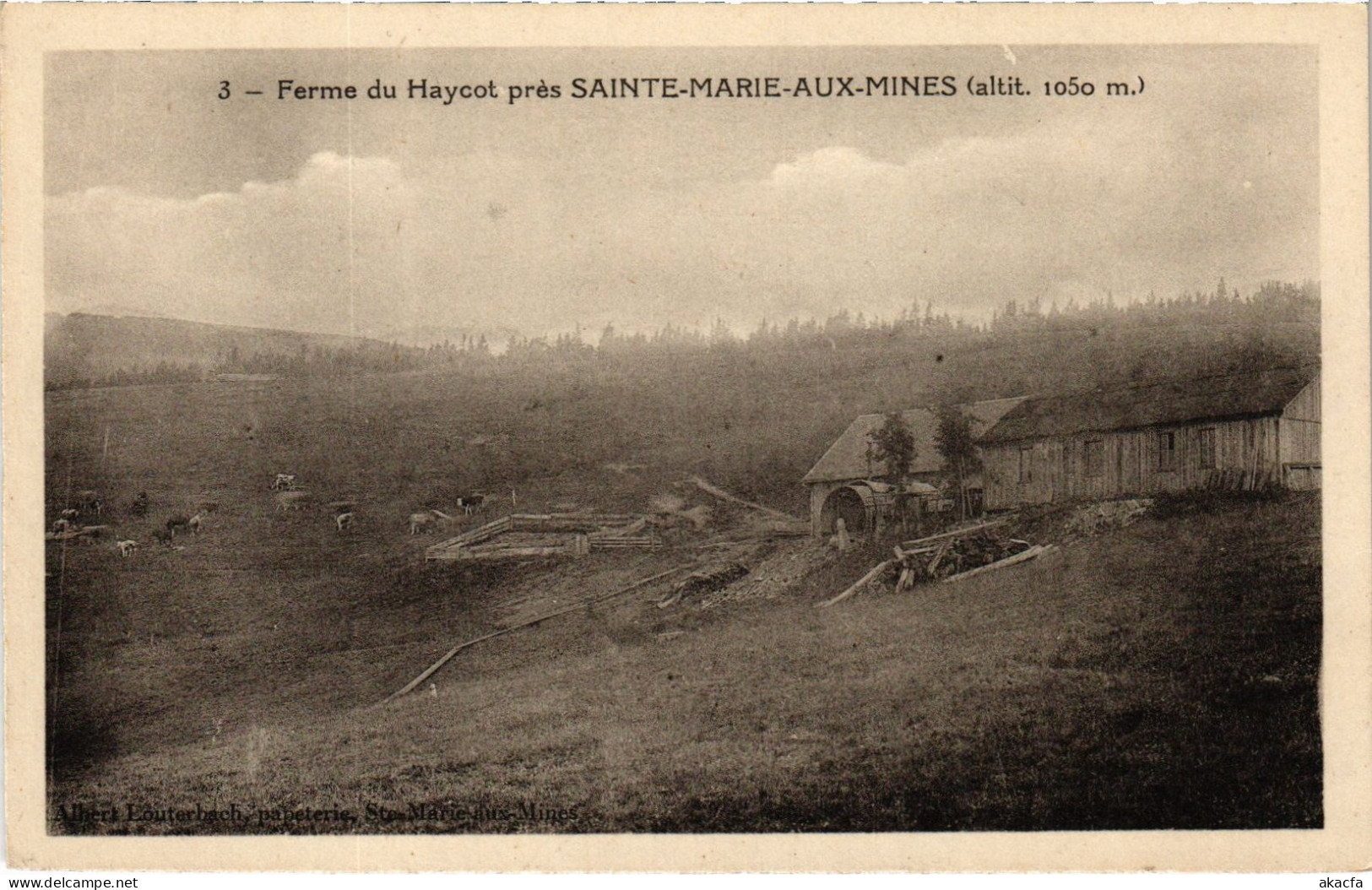 CPA Ste-Marie-aux-Mines Ferme Du Haycot (1390400) - Sainte-Marie-aux-Mines