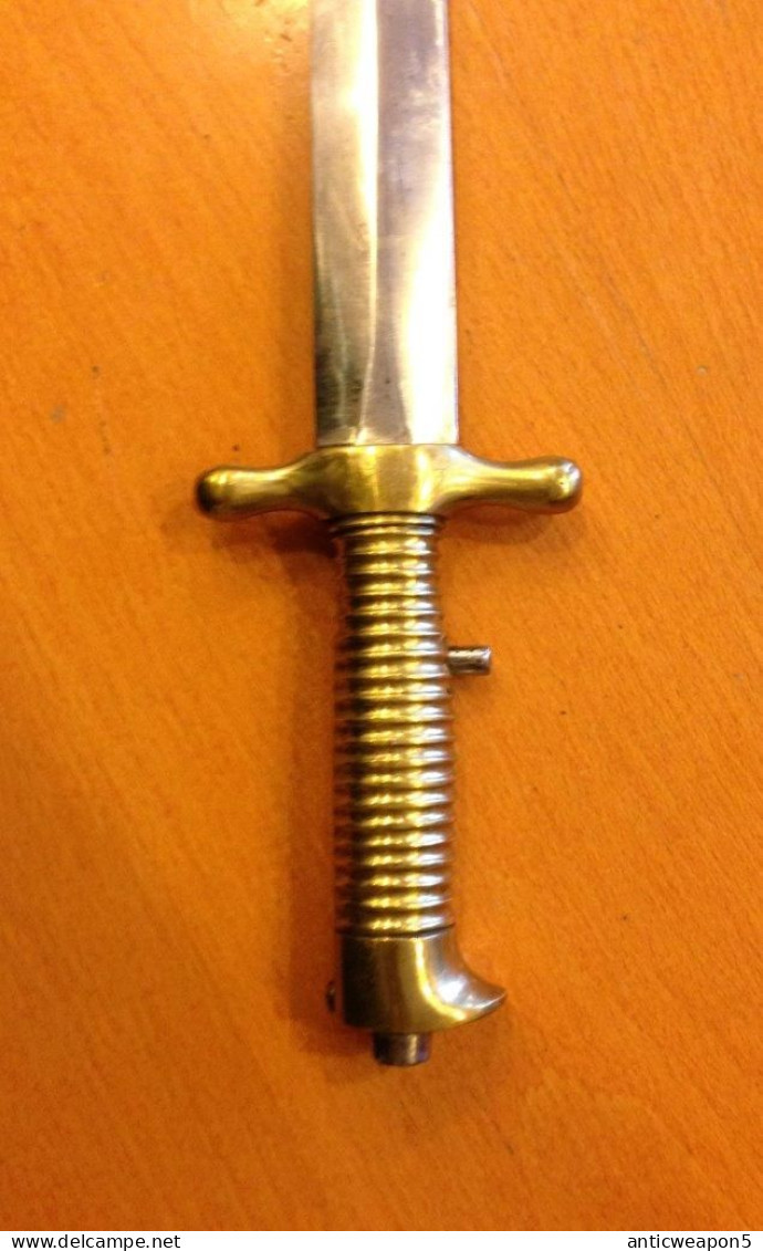 Épée à Baïonnette Réduite Piémont. Italie. M1860 (121) - Armas Blancas