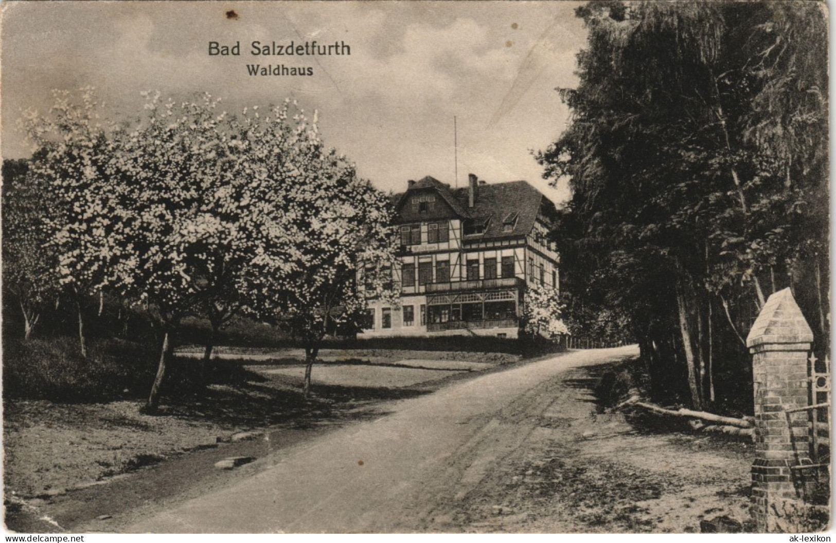 Ansichtskarte Bad Salzdetfurth Waldhaus 1920 - Bad Salzdetfurth