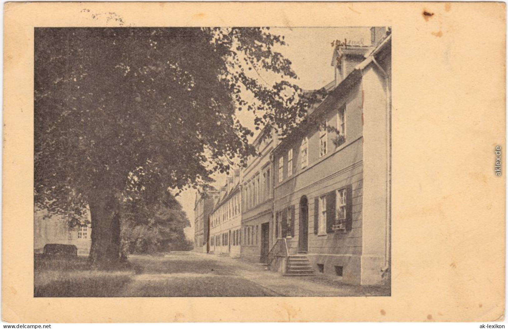 Ansichtskarte  Häuserfront Und Baum 1928 - Te Identificeren