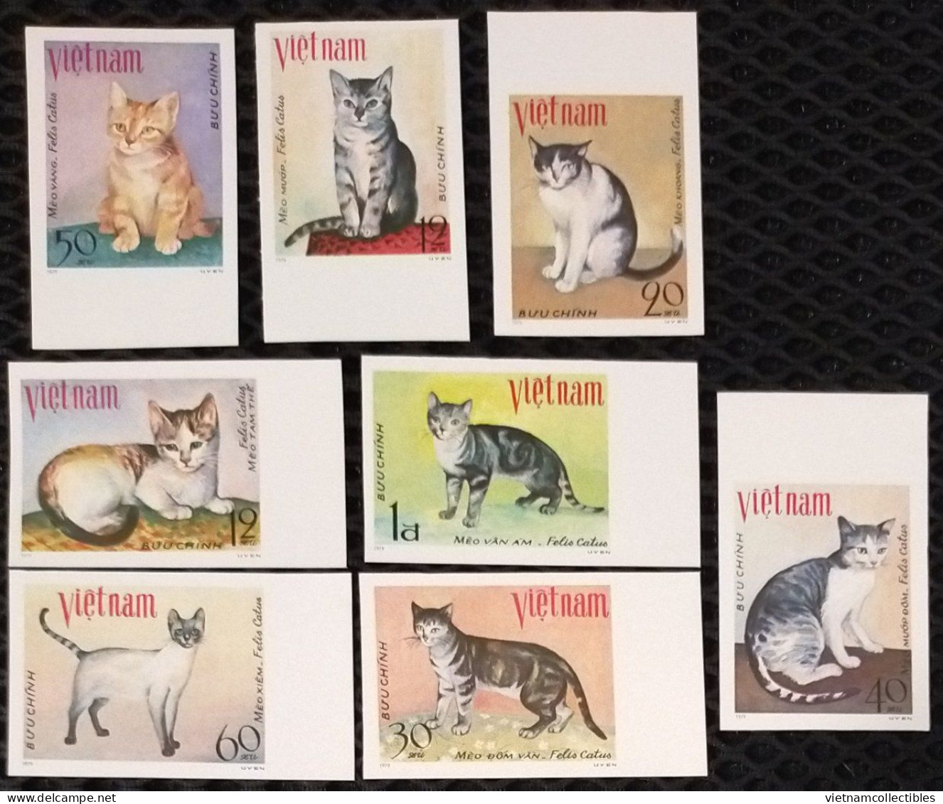 Vietnam Viet Nam MNH Imperf Stamps 1979 : Cats / Cat (Ms356) - Viêt-Nam