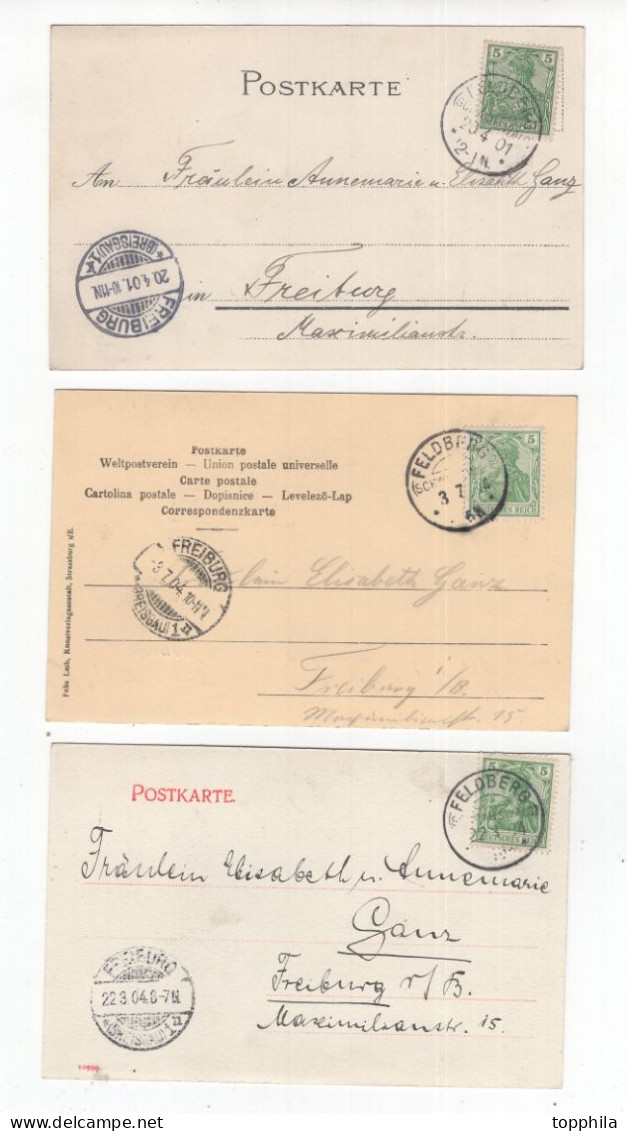 1901- 1904 Südschwarzwald  Feldberg Drei Alte Postkarten Mit Diversen Ansichten  Feldberger Hof, Seebuck Etc - Feldberg