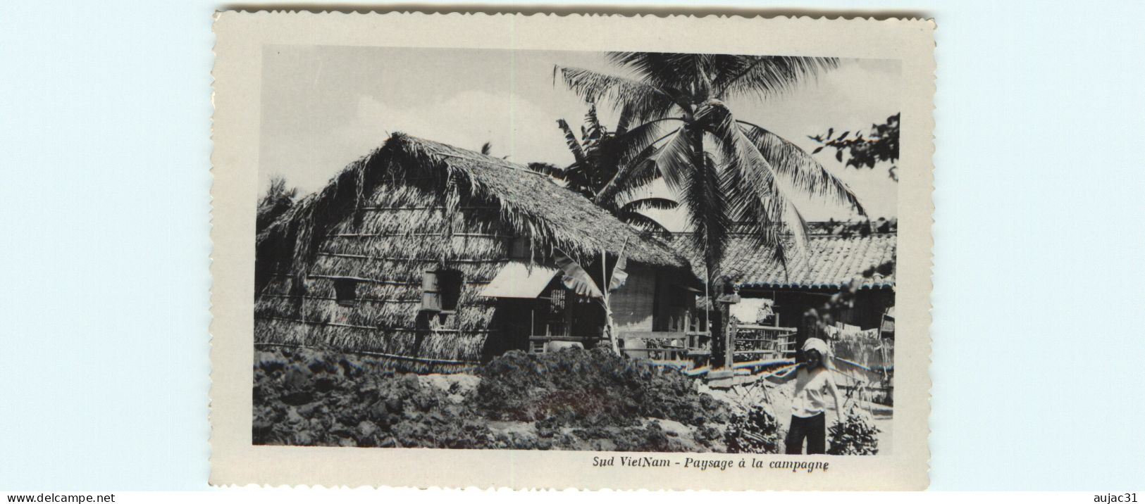 Indochine - Vietnam - Viêt Nam - Sud Vietnam - Paysage à La Campagne - état - Viêt-Nam