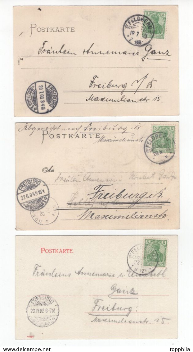 1903- 1904 Südschwarzwald  Feldberg Drei Postkarten Mit Div. Ansichten:  Feldsee Mit Seebuck, Skiläufer Seesträssle Etc - Feldberg