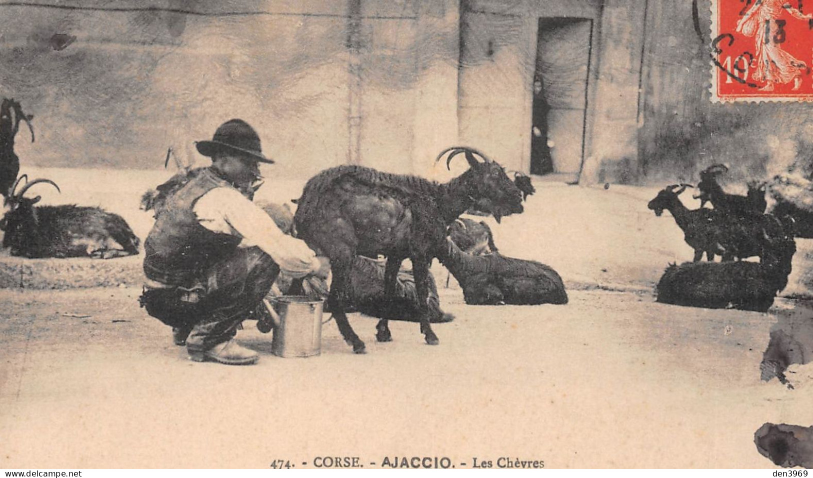 AJACCIO (Corse Du Sud) - Les Chèvres - La Traite, Chevrier - Voyagé 1913 (2 Scans) Lombard, Hôtel Des Etrangers à Alger - Ajaccio