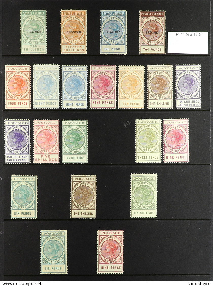 SOUTH AUSTRALIA 1886-1919 Mint Collection Of 21 'tall Type' Stamps On Protective Page,  Note 1886-96 Perf 11? X 12? 10s  - Other & Unclassified