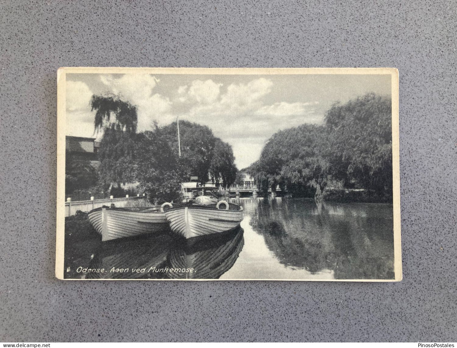 Odense - Aaen Ved Munke Mose Carte Postale Postcard - Dinamarca