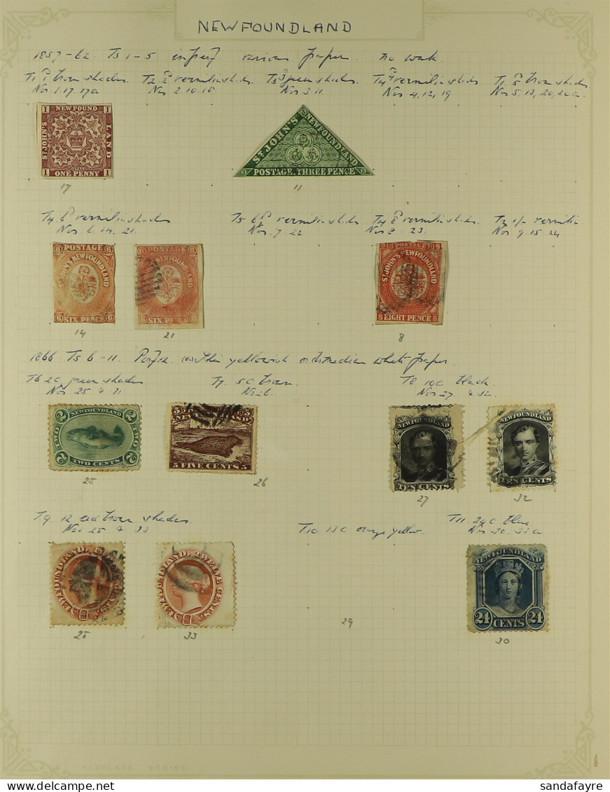 NEWFOUNDLAND - 1860 - 1947 COLLECTION Of Around 140 Mint & Used Stamps On Pages, Note 1860 3d Triangle, 1957 8d Scarlet- - Altri & Non Classificati