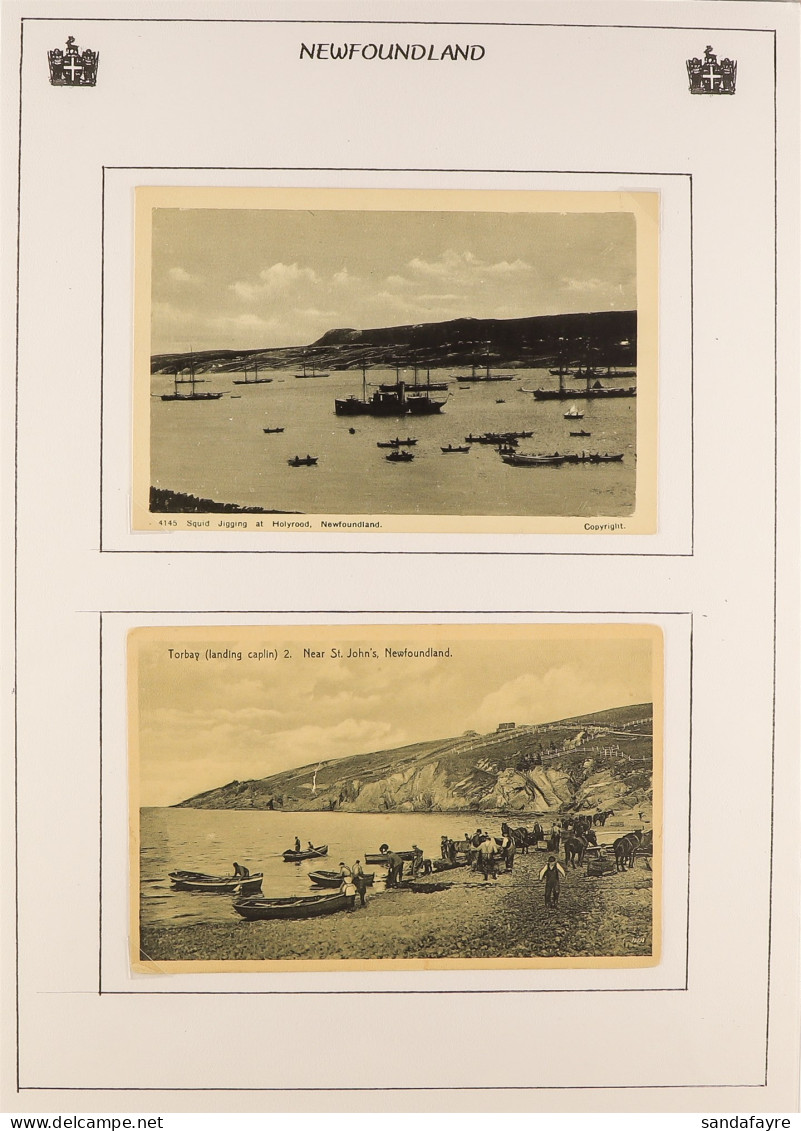NEWFOUNDLAND - PICTURE POSTCARDS 65 Mainly Unused (plus Some Used), Largely 1900's To 1950's, Incl. Towns, Fishing, Ship - Altri & Non Classificati