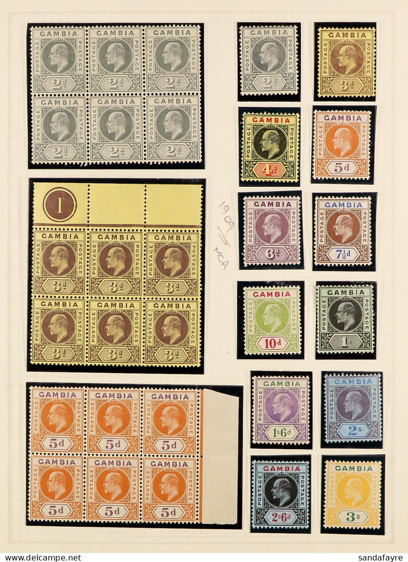 1904 - 1965 MINT COLLECTION Of Approx 120 Stamps On Album Pages, 1906 1d On 3s, 1909 2d, 3d And 5d Blocks 6, Many Sets. - Gambie (...-1964)