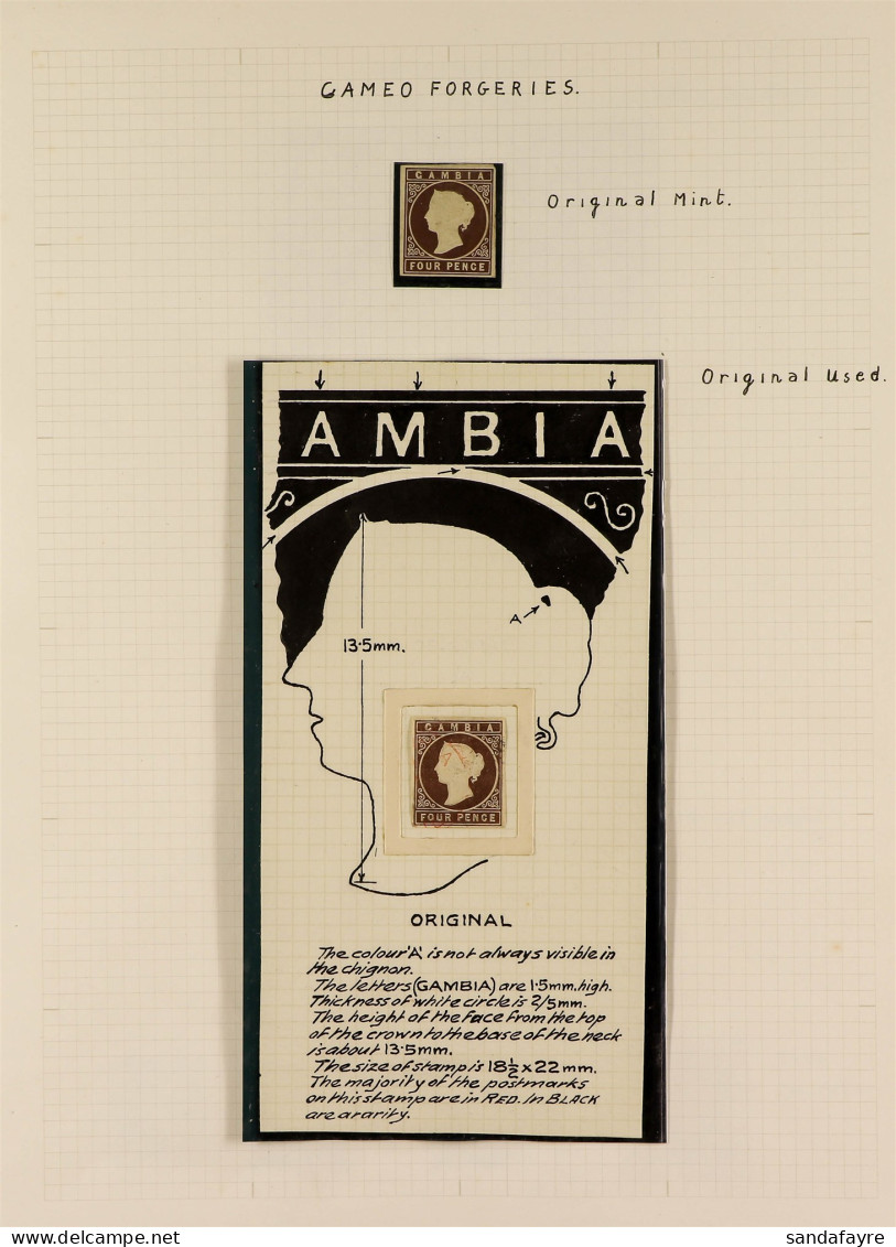 SPECIALISED FORGERIES COLLECTION Including Genuine Examples, Well Annotated In Album, Note 1869-74 Cameo 4d Brown Imperf - Gambia (...-1964)