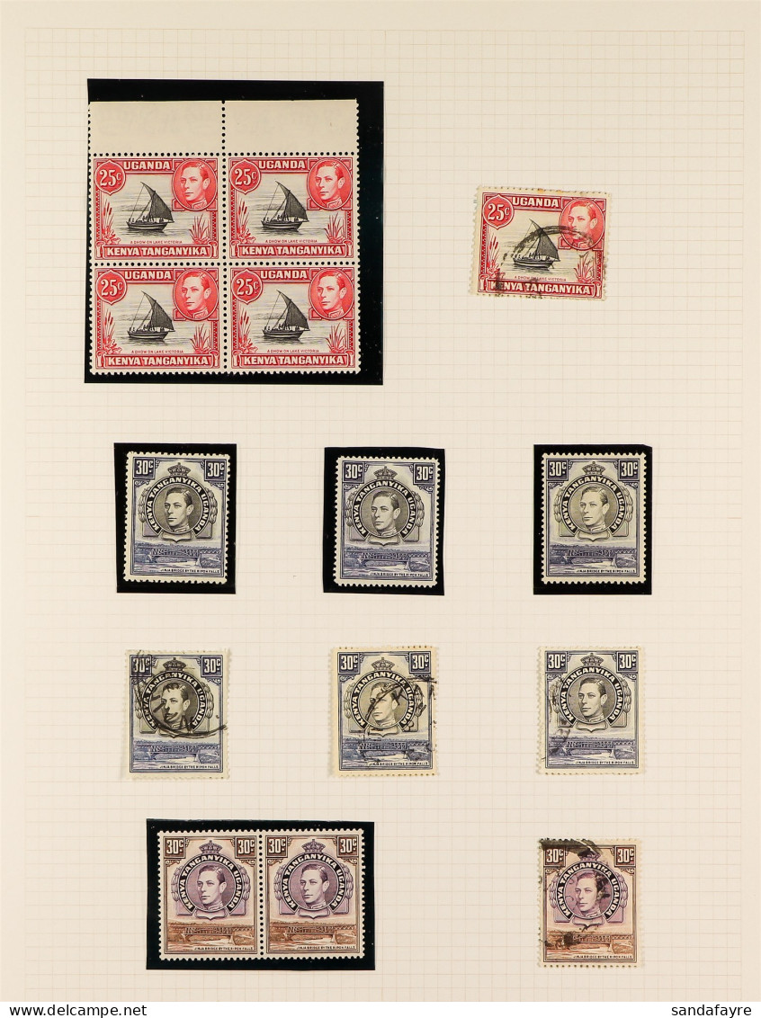 1938-54 Pictorials Mint / Some Never Hinged And Used Collection, Note The Complete Mint Set Plus Many Additional Perfs & - Vide