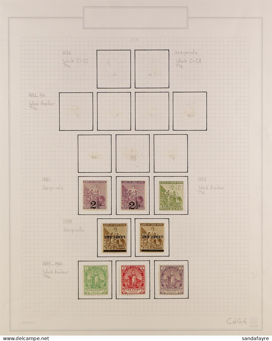 CAPE OF GOOD HOPE 1891 - 1904 Collection Of 25 Mint Stamps, On Album Pages. - Zonder Classificatie