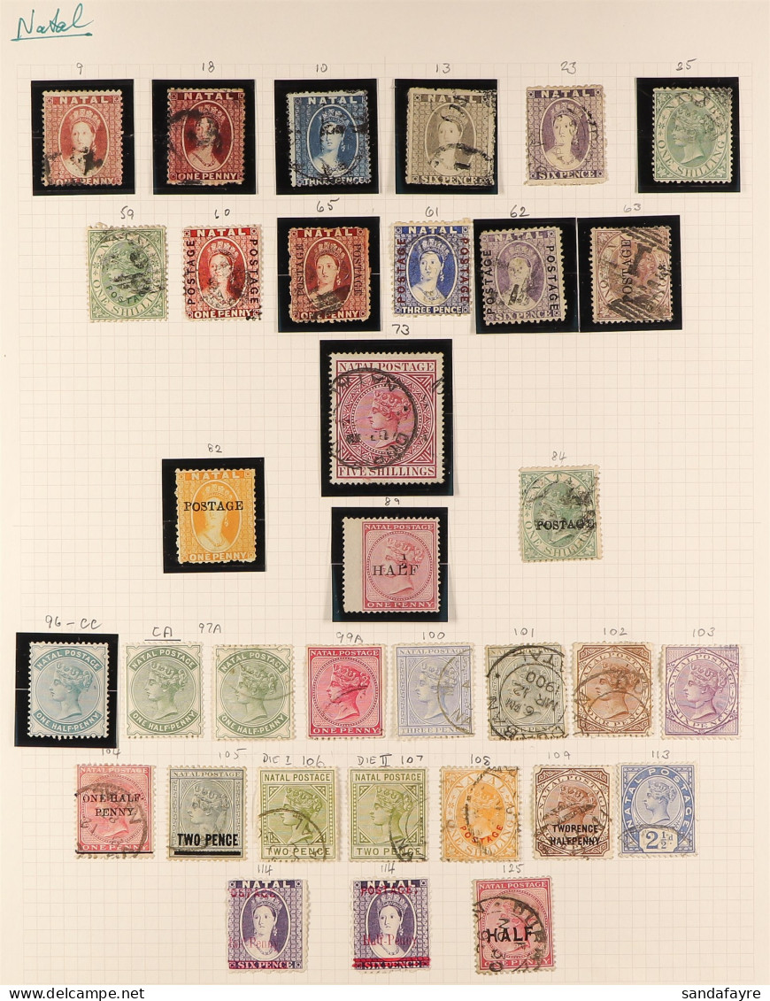 NATAL 1859 - 1902 COLLECTION Of 60 Mint & Used Stamps On Album Pages, Note 1902-03 Set Mint, 1902 5s, 10s & ?1 Vals Mint - Unclassified