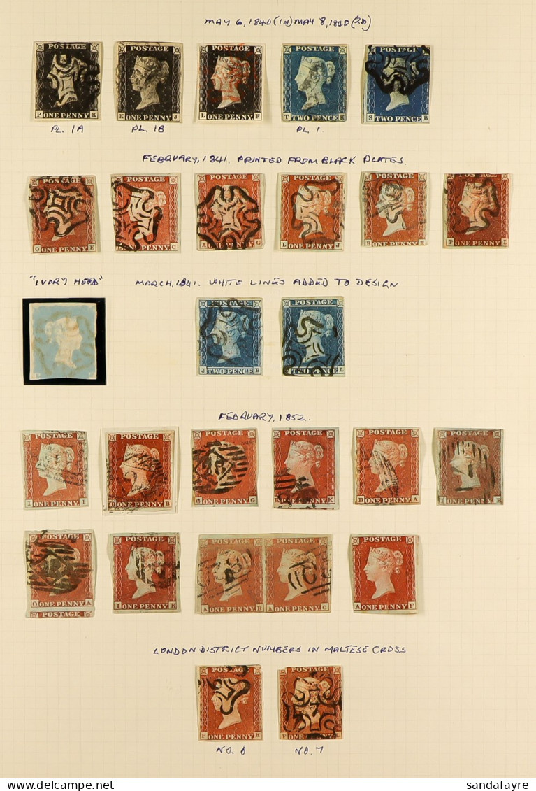 1840 - 1950 COLLECTION Of Mint & Used (increasingly Mint From The 1880s Onwards) Stamps, Note 1840 1d Blacks (3), 2d Blu - Sonstige & Ohne Zuordnung