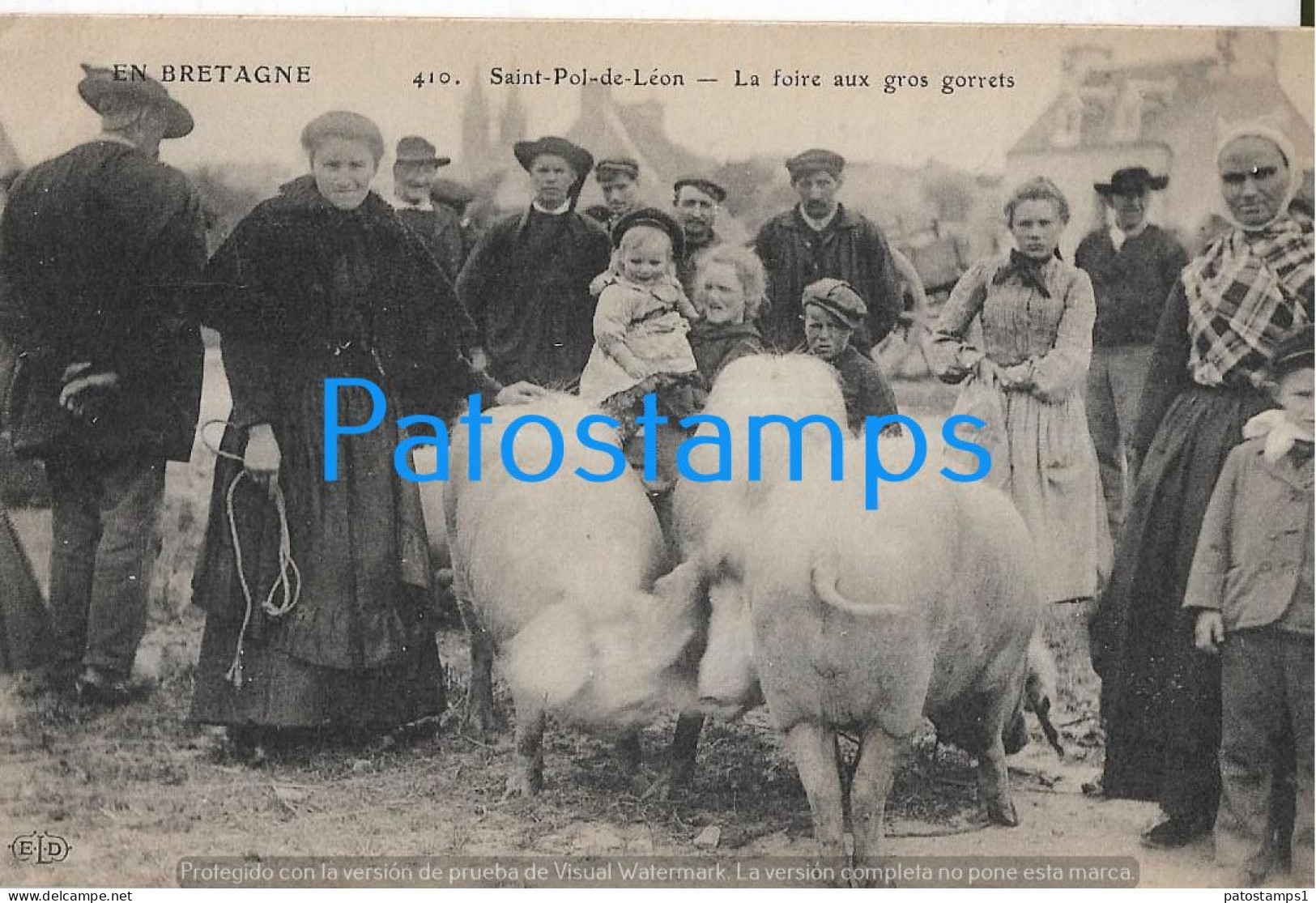 228936 FRANCE BRETAGNE SAINT POL DE LEON THE GROS GORRETS FAIR & PIG POSTAL POSTCARD - Andere & Zonder Classificatie