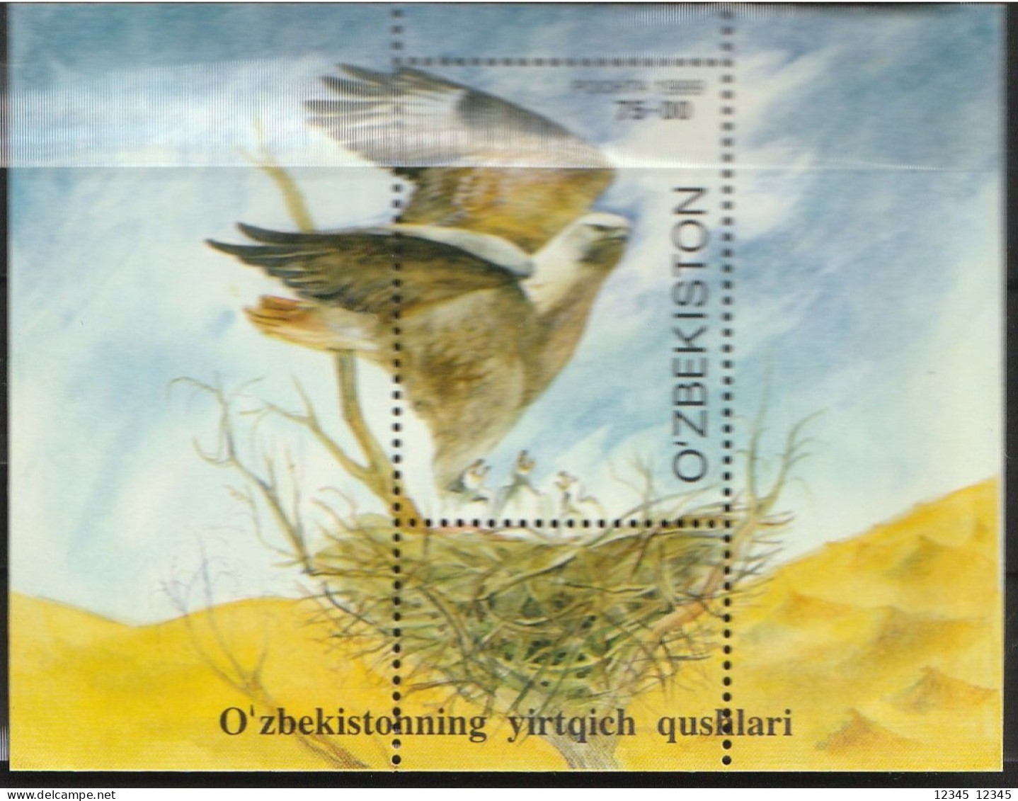 Uzbekistan 1999, Postfris MNH, Birds Of Prey - Usbekistan