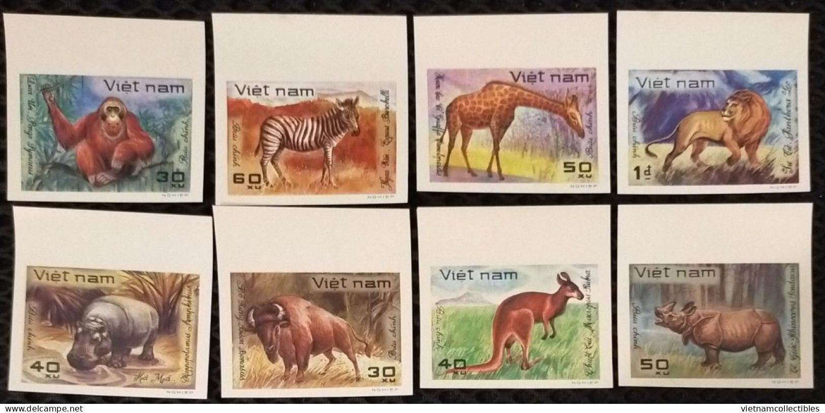 Vietnam Viet Nam MNH Imperf Stamps 1981 : World Wild Animals Lion / Orang Utan / Hippo / Rhino / Zebra / Giraffe (Ms385) - Viêt-Nam